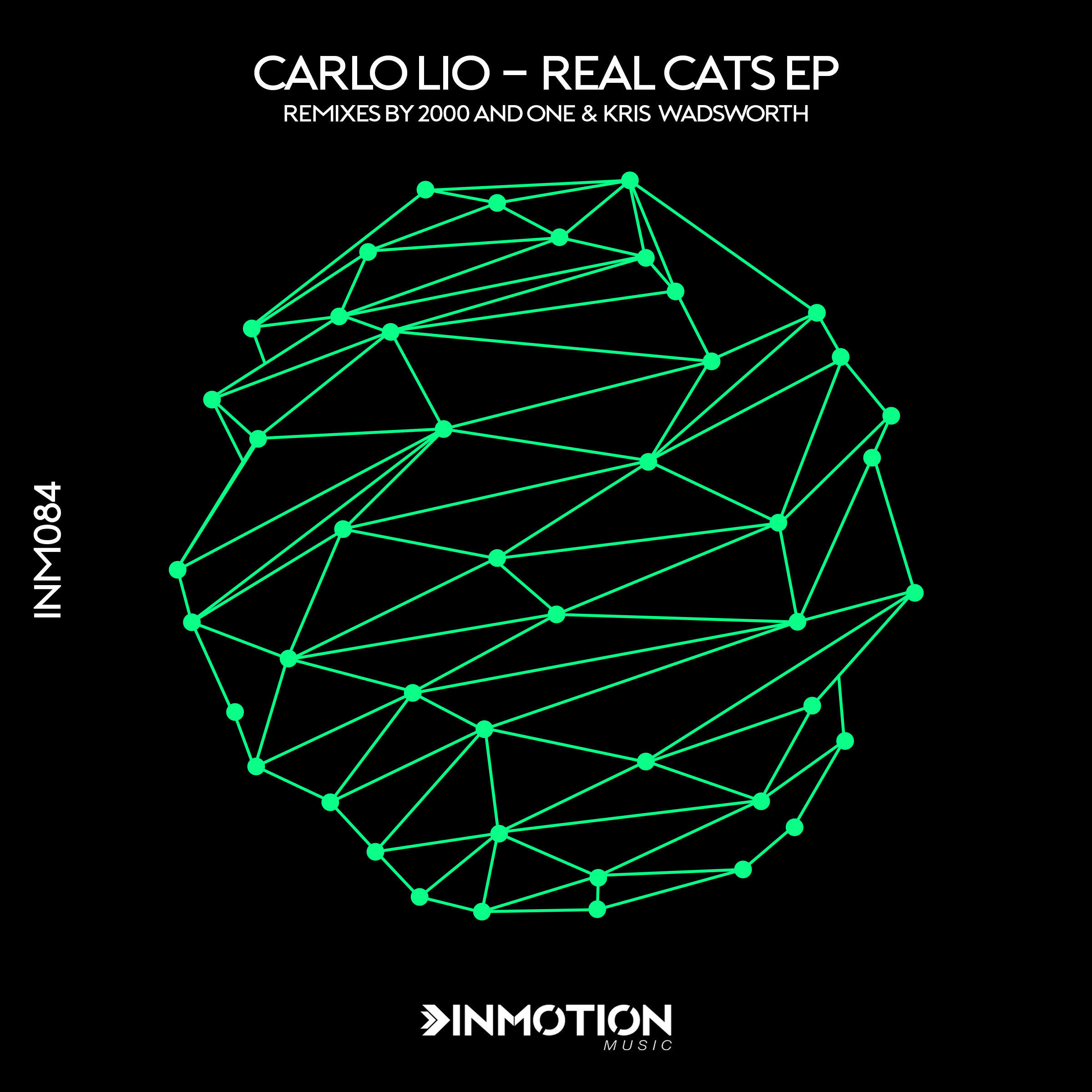 Релиз Real Cats