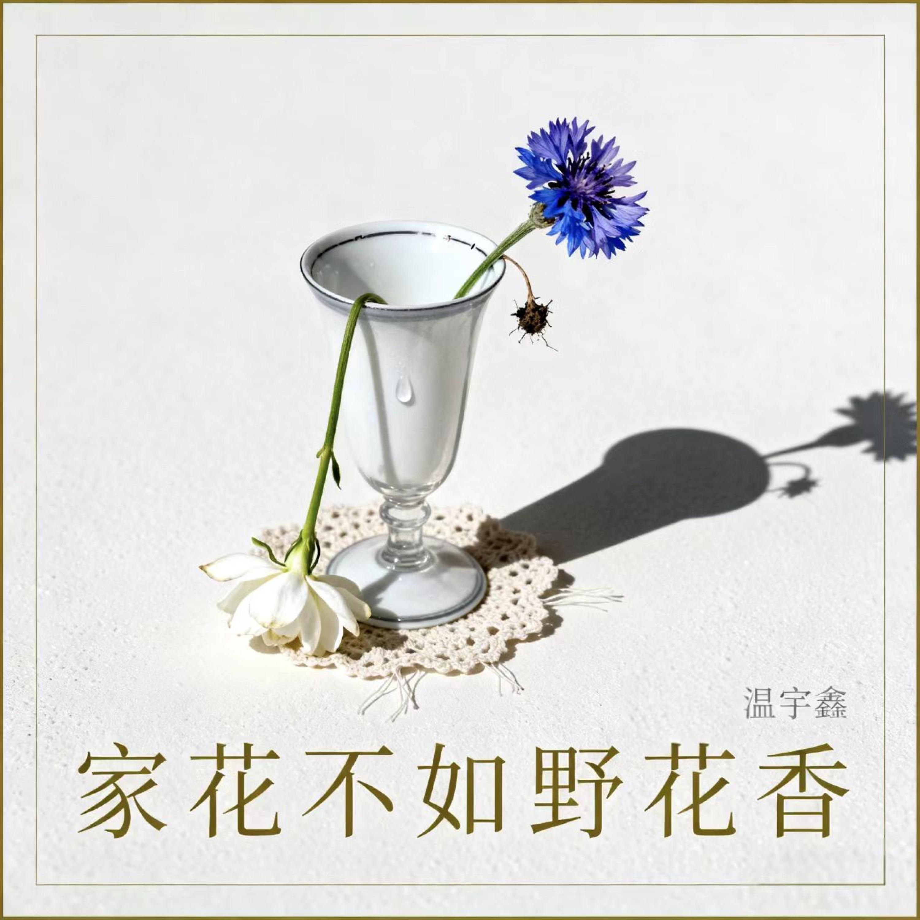 Релиз 家花不如野花香