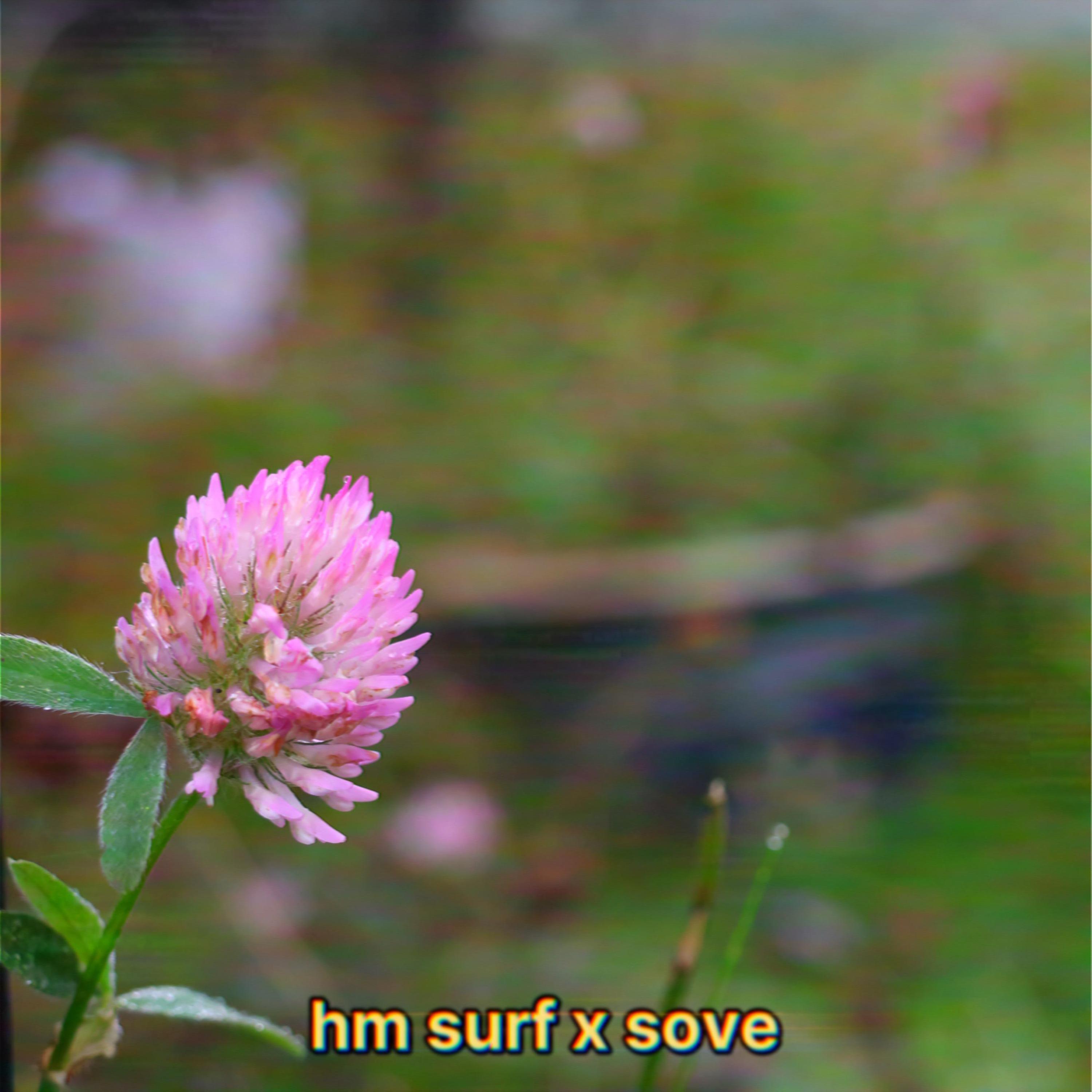 Релиз memory