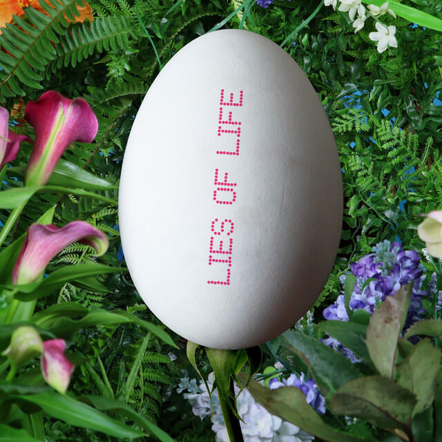 Релиз Lies of Life