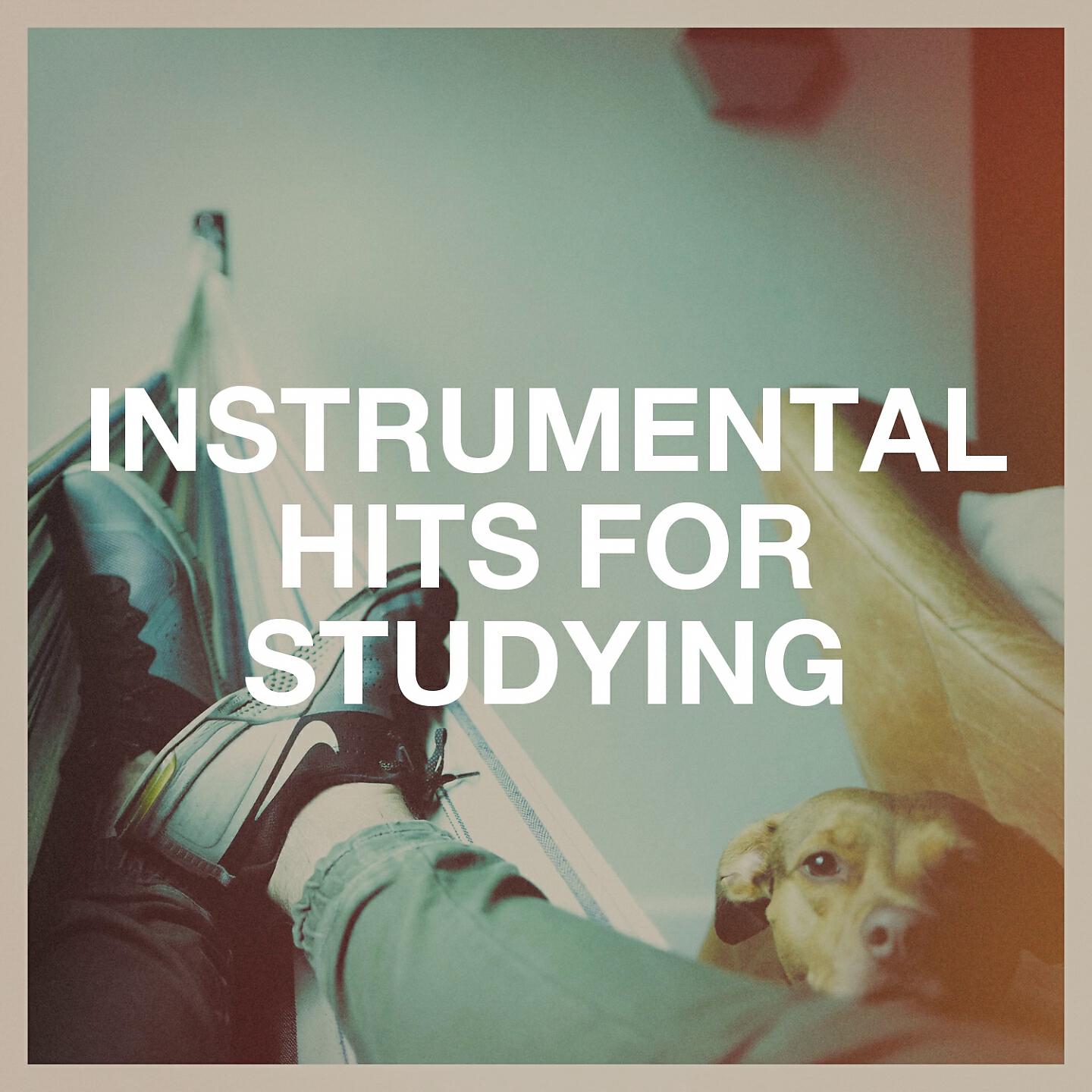 Релиз Instrumental Hits for Studying