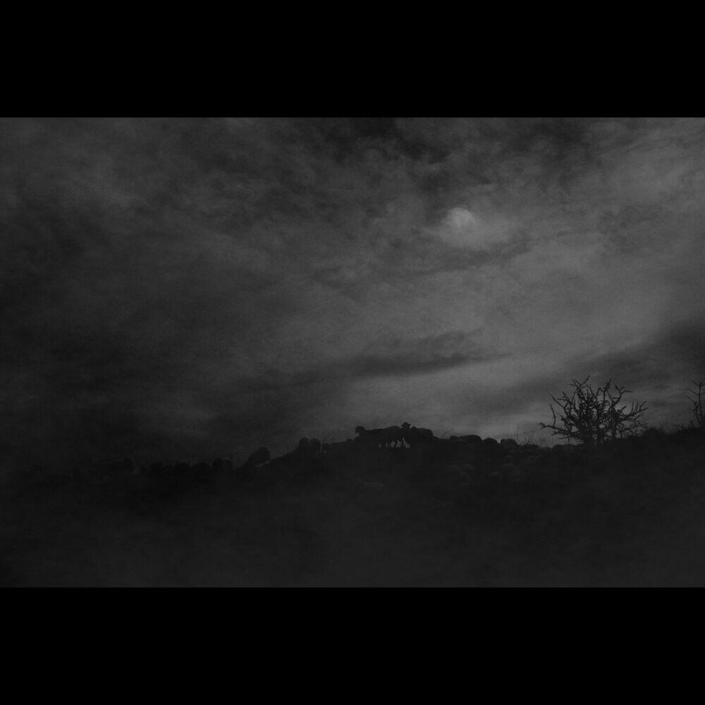 Релиз An Eternal Wail's Journey EP