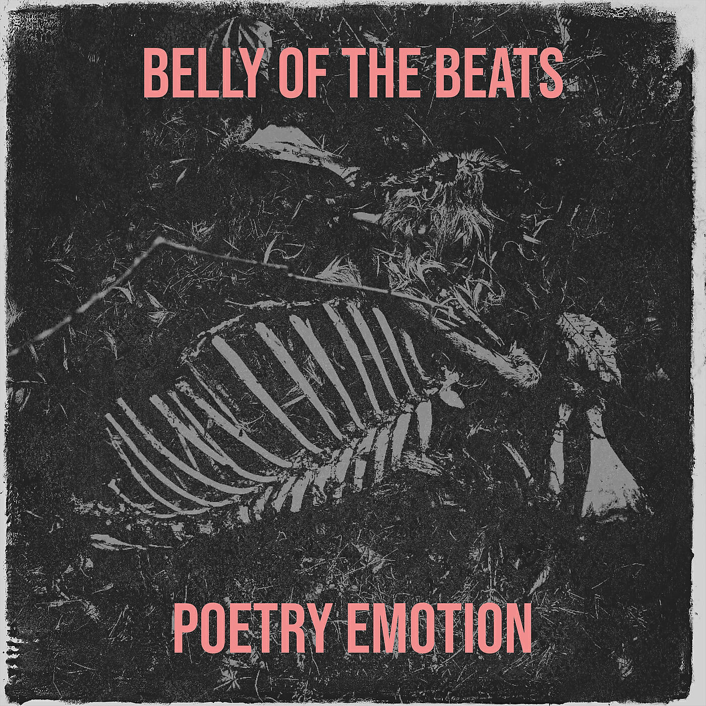 Релиз Belly of the Beats