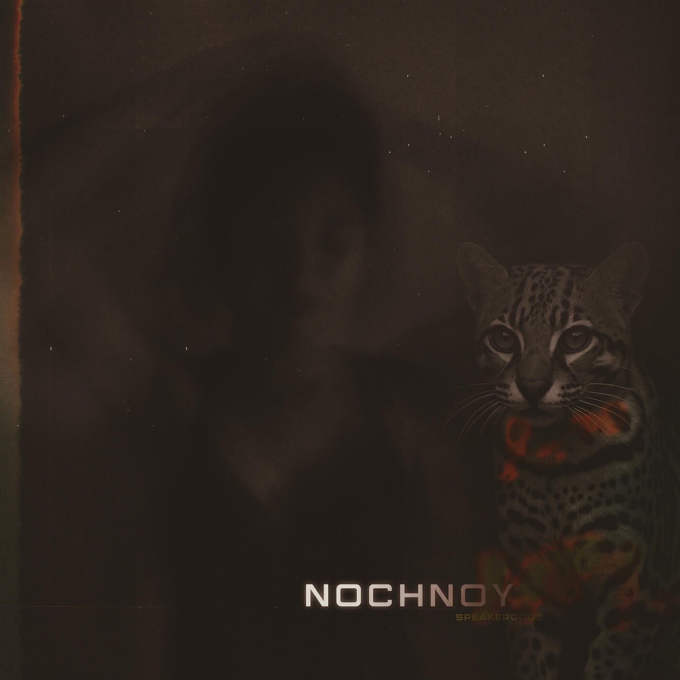 Постер альбома Nochnoy