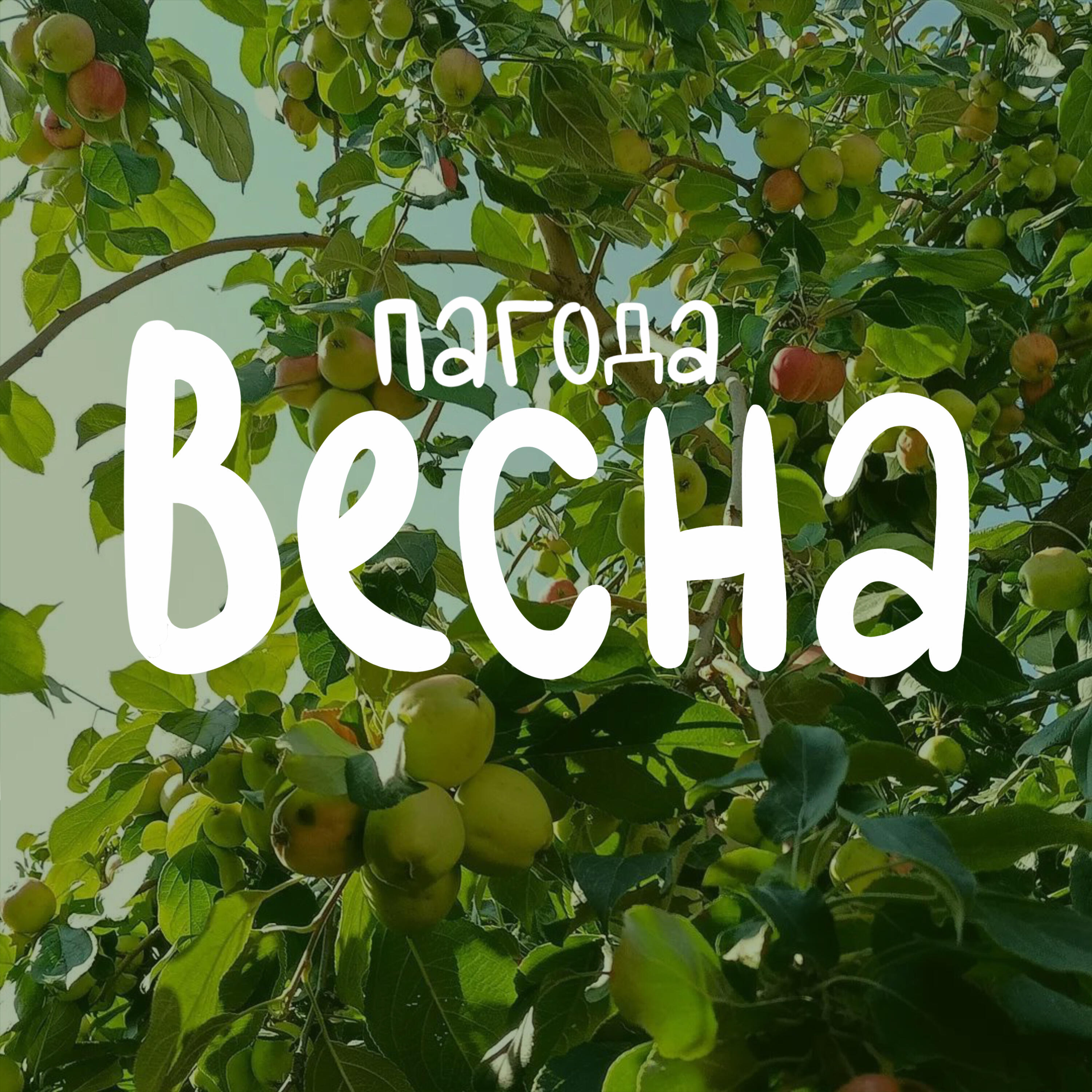 Релиз весна
