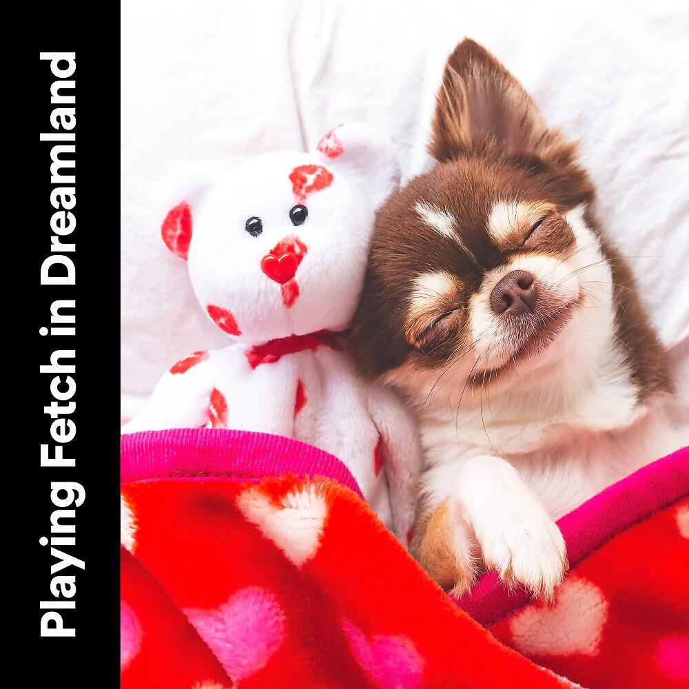 Релиз Playing Fetch in Dreamland