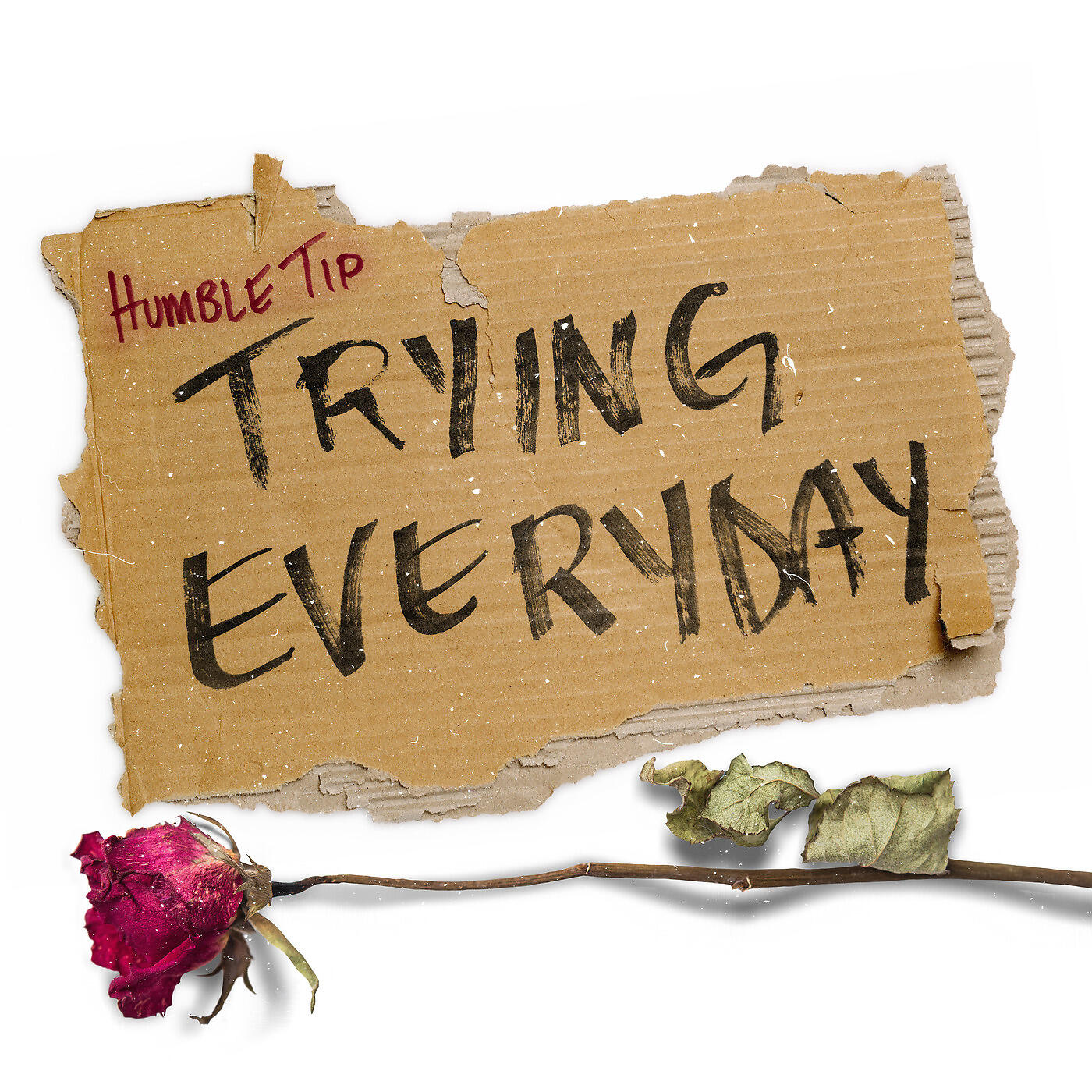 Релиз Trying Everyday