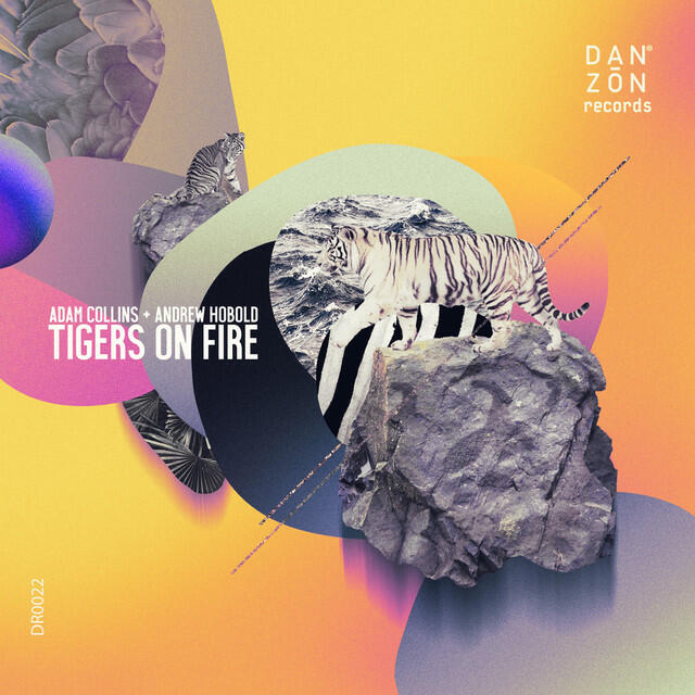 Релиз Tigers on Fire