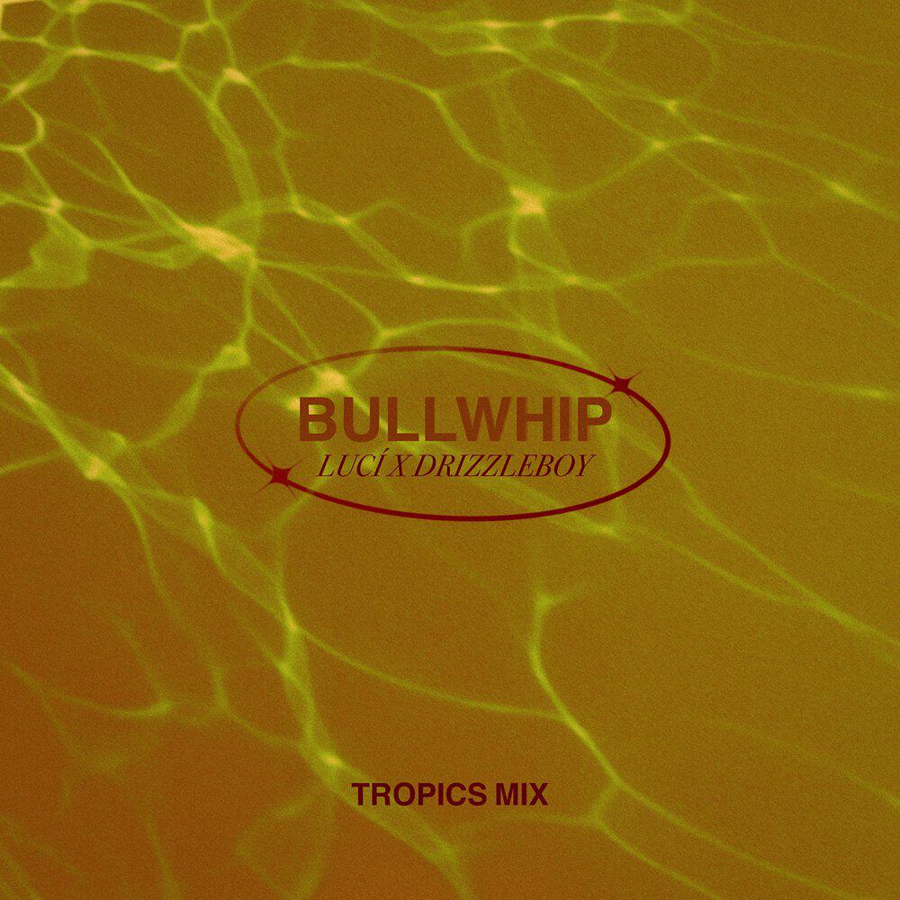 Релиз Bullwhip (Tropics Mix)