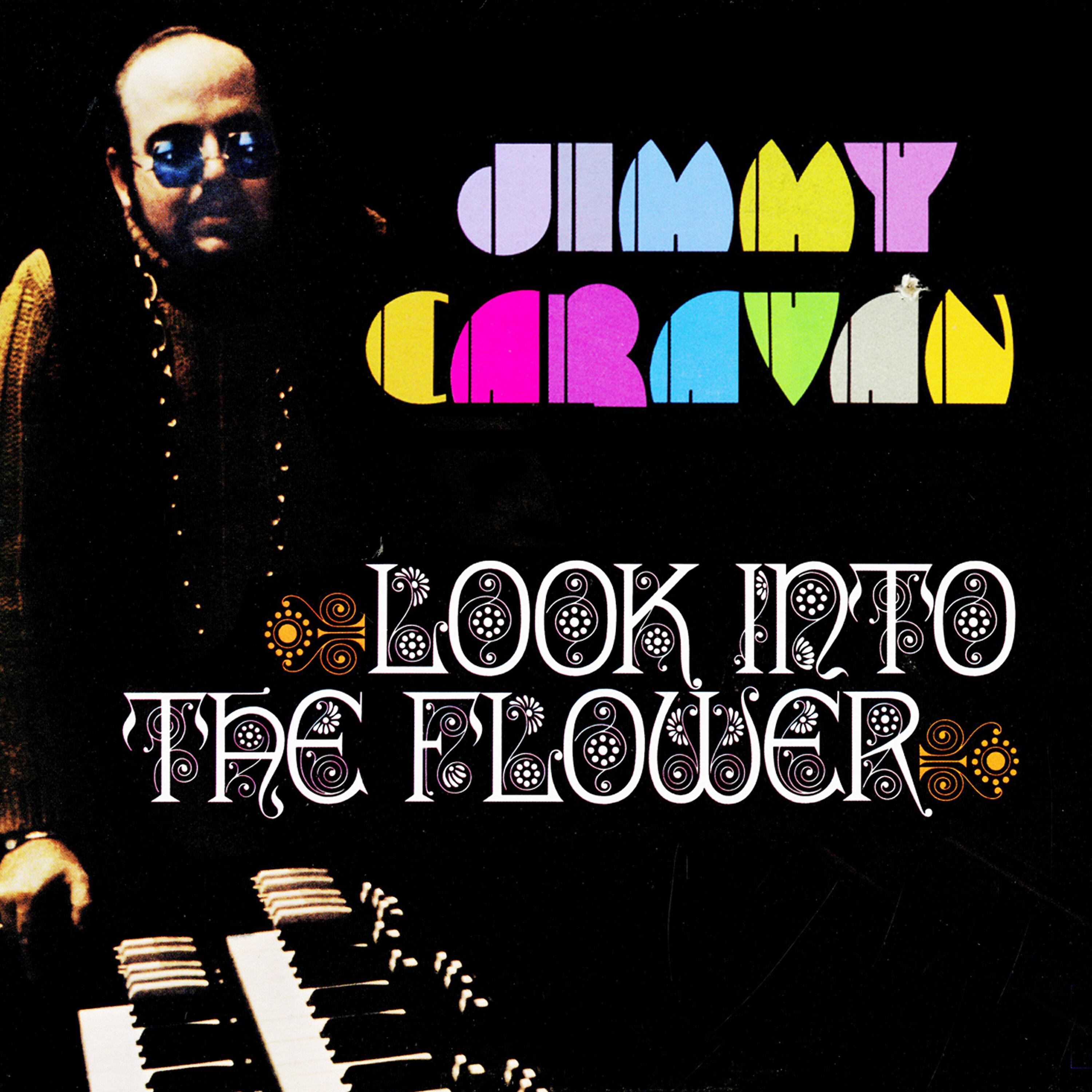 Релиз Look Into The Flower