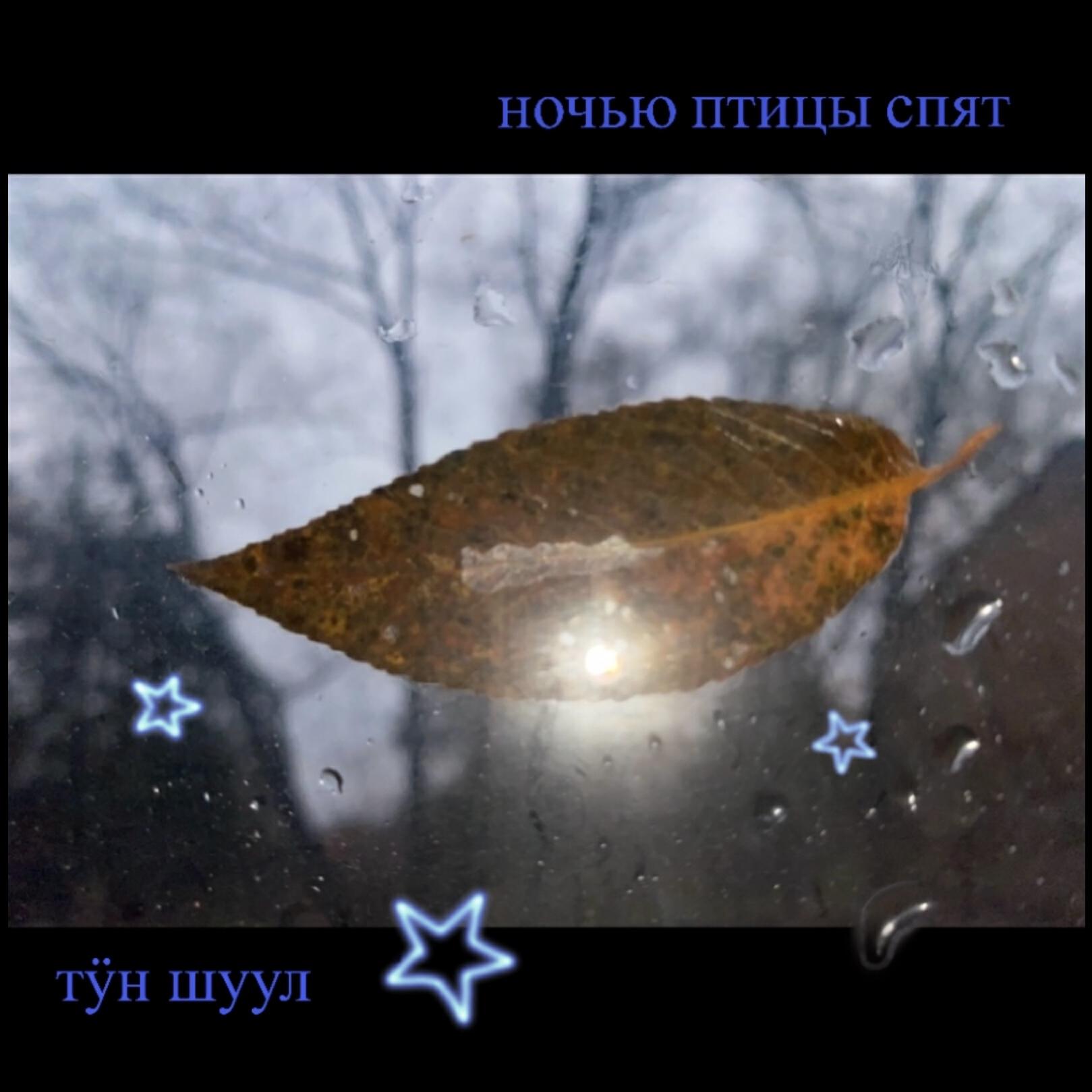 тÿн шуул