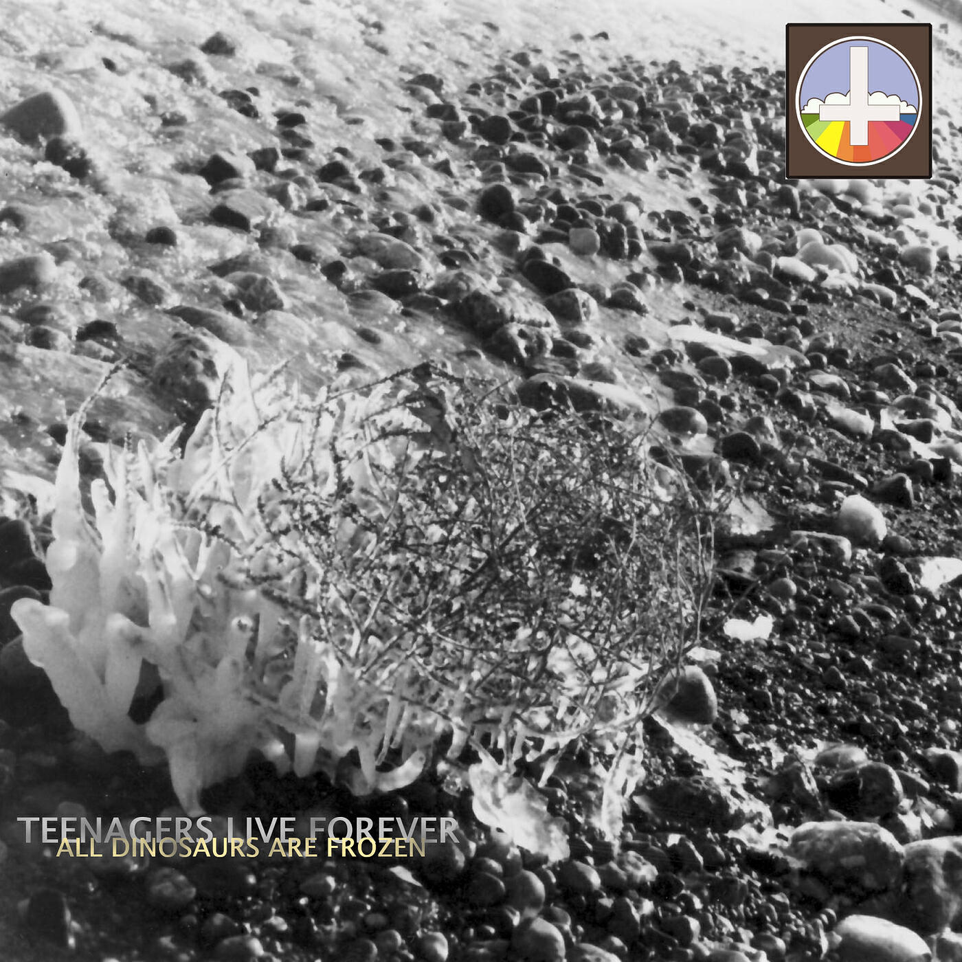Релиз All Dinosaurs Are Frozen