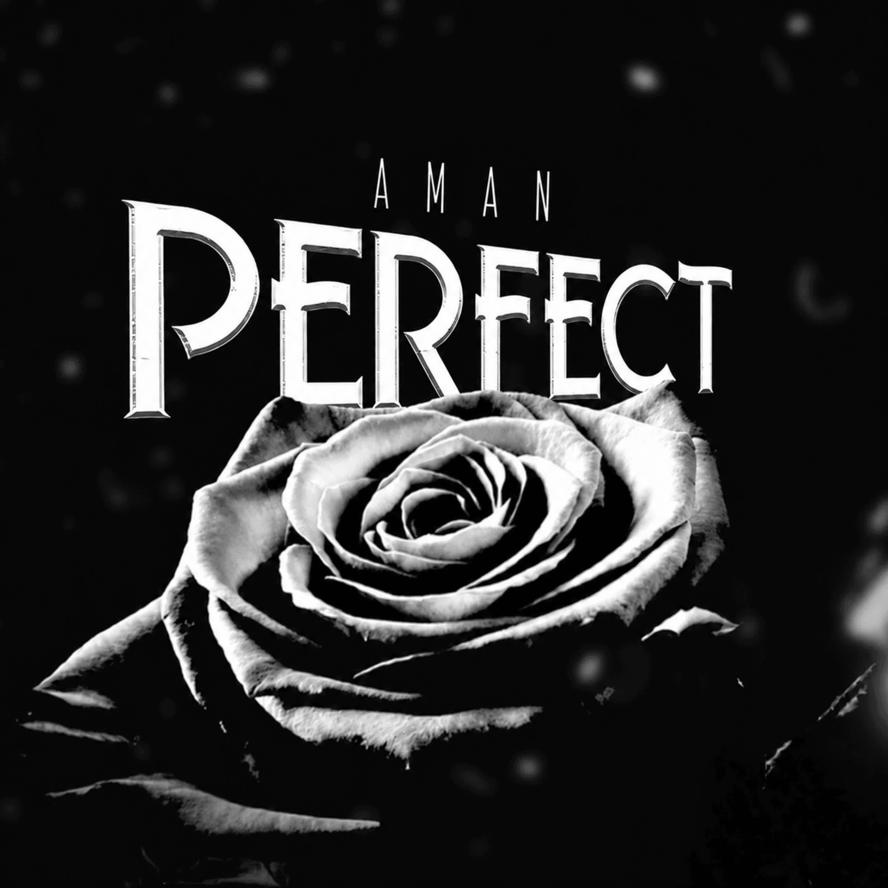 Релиз Perfect