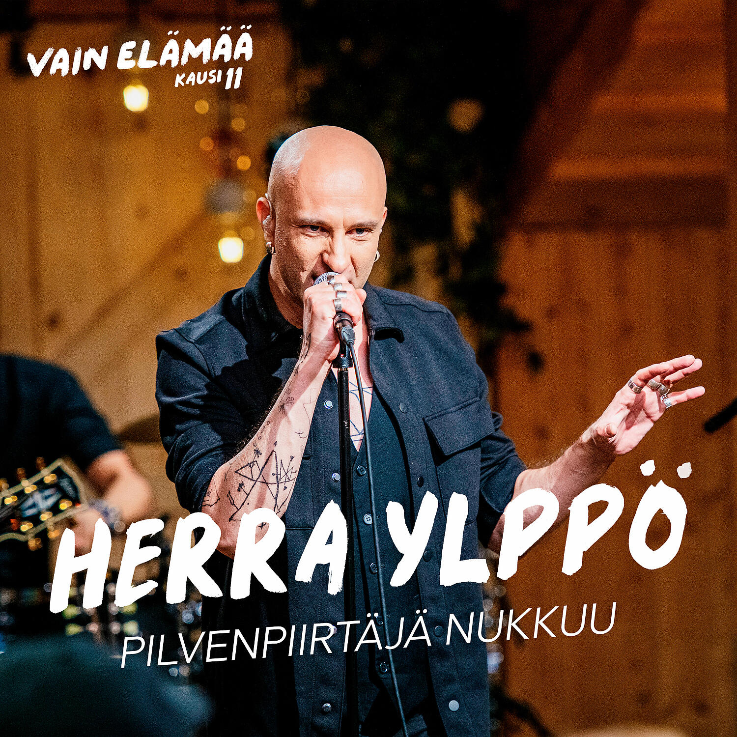 Постер альбома Pilvenpiirtäjä nukkuu (Vain elämää kausi 11)