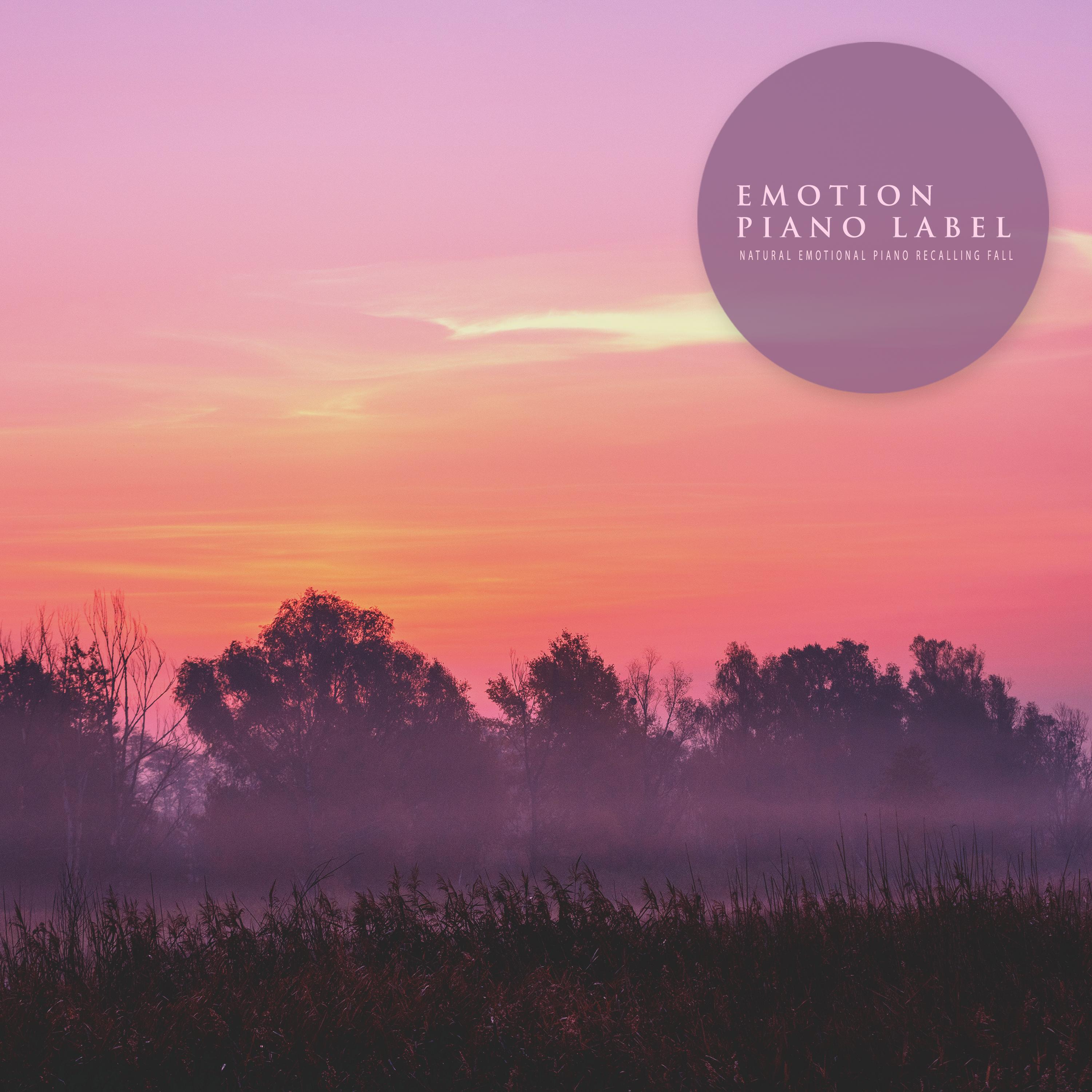 Релиз Natural Emotional Piano Recalling Fall