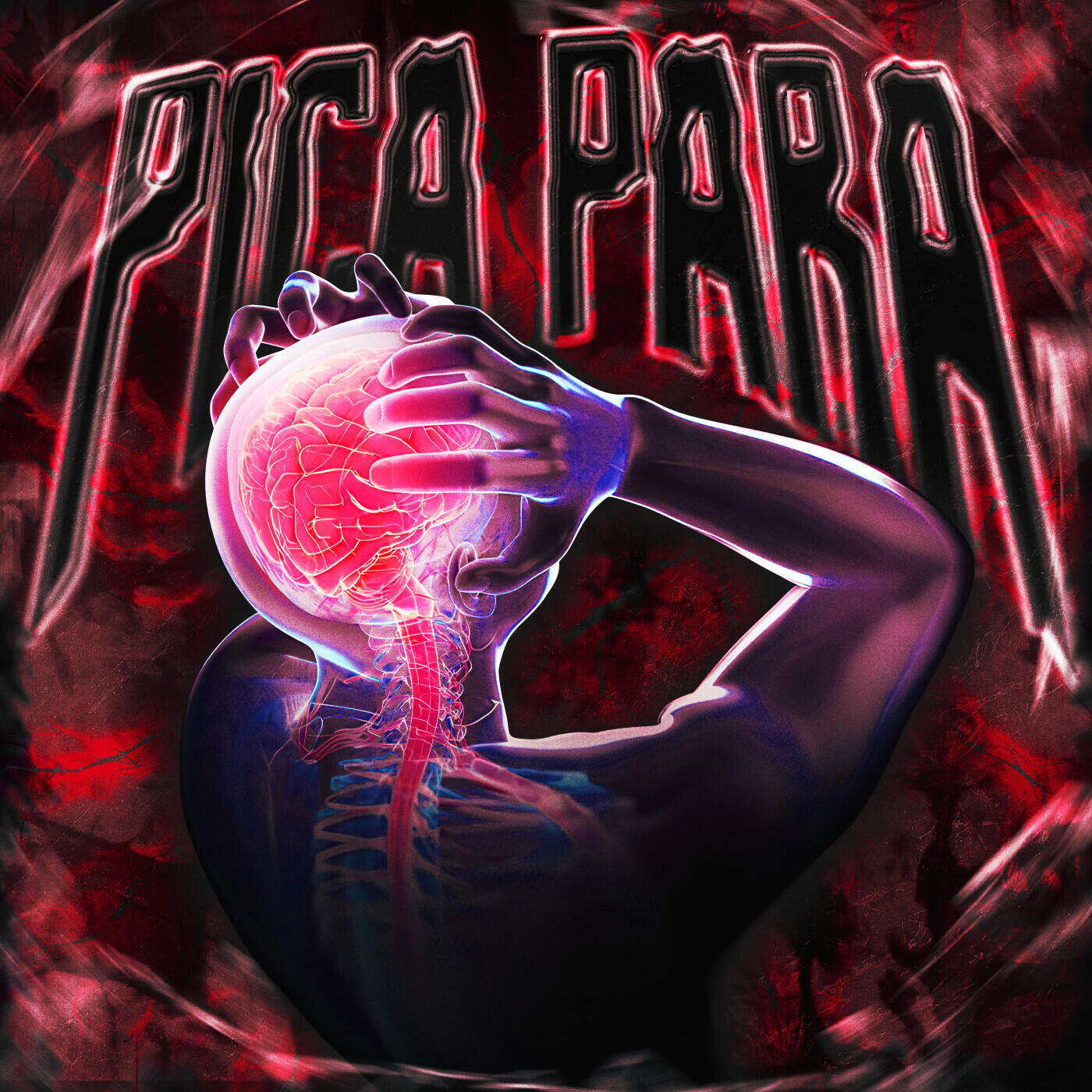 Релиз PICA PARA