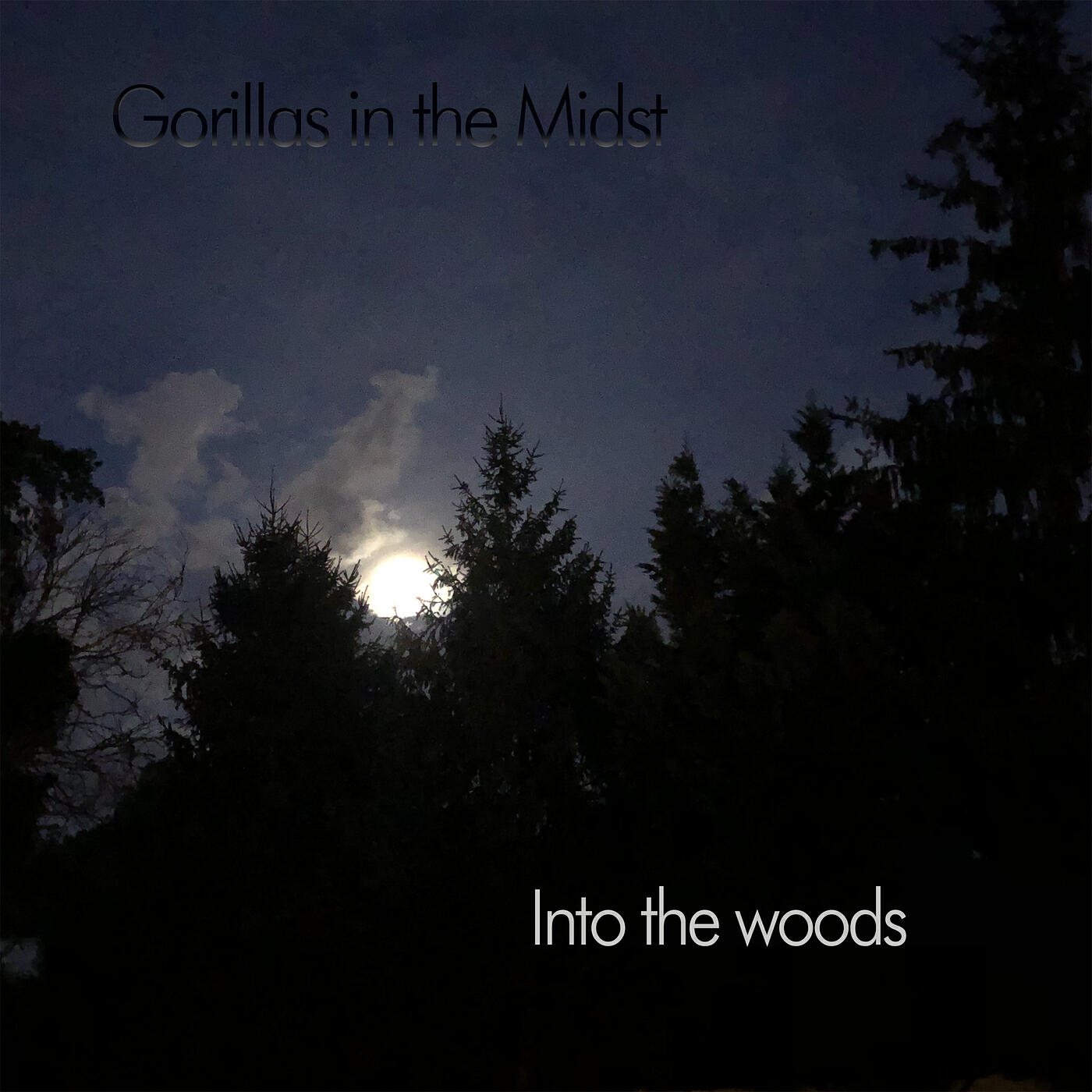 Gorillas In The Midst