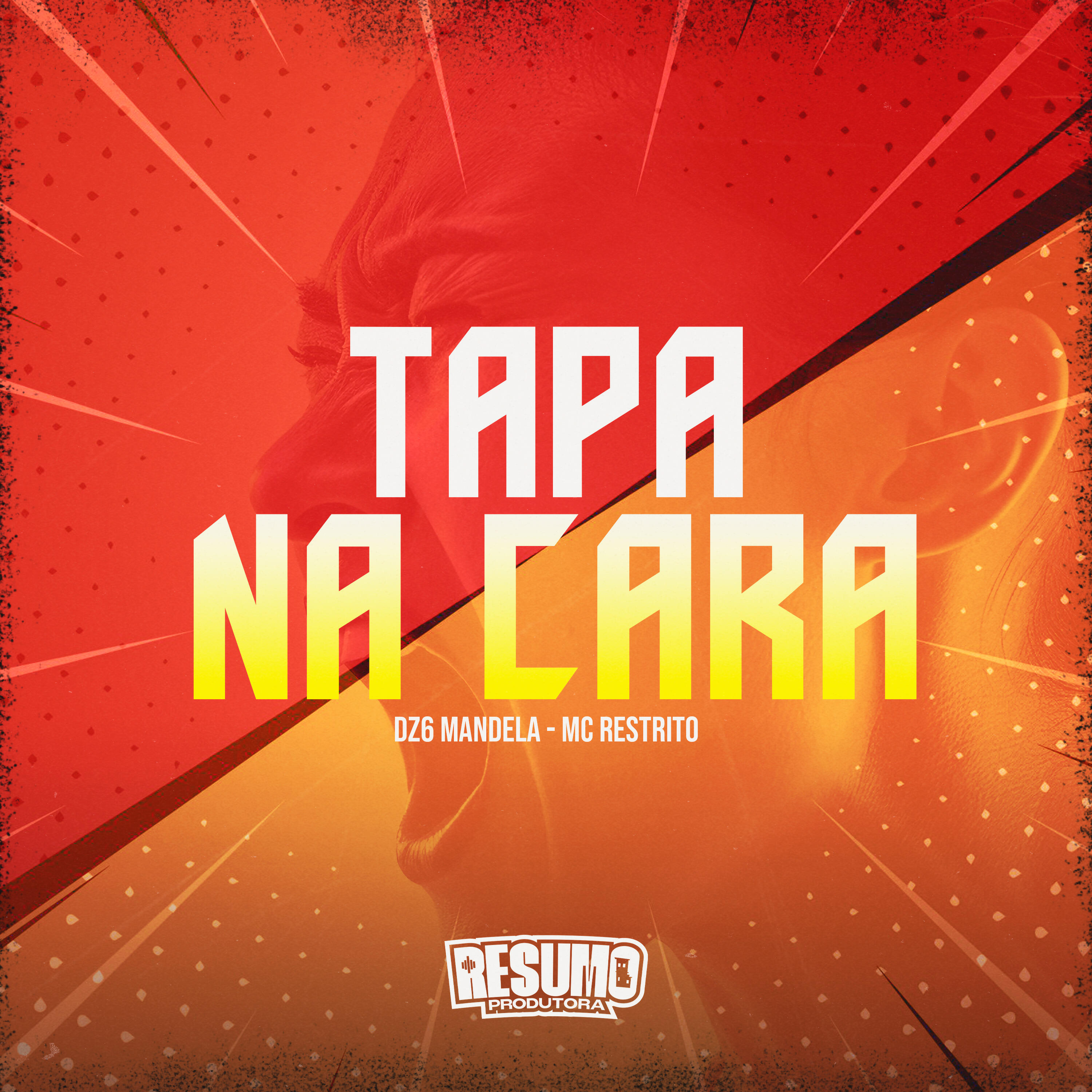 Скачать песню DZ6 MANDELA, Mc Restrito - Tapa na Cara бесплатно в MP3 для Android и iOS