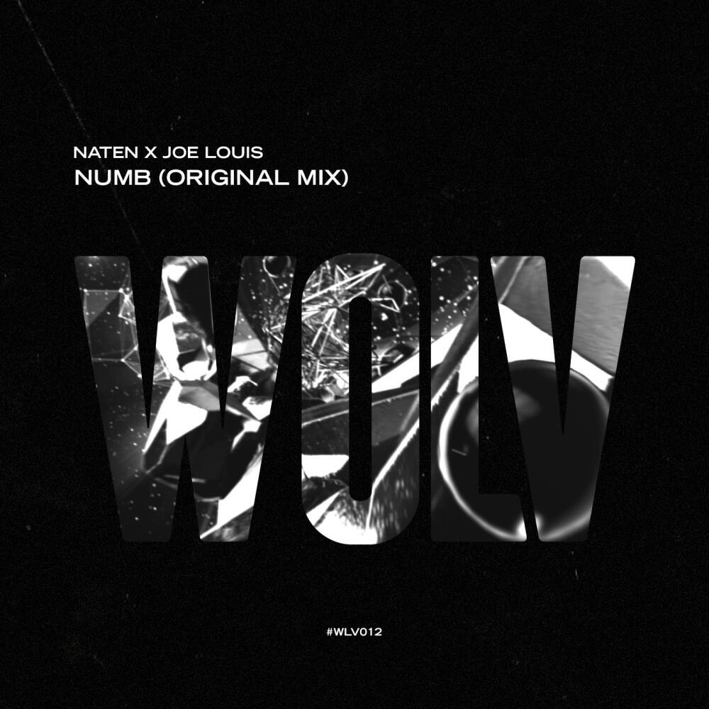 Релиз Numb