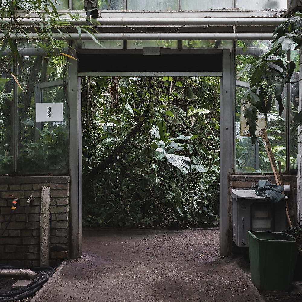 Релиз Nostalgia EP