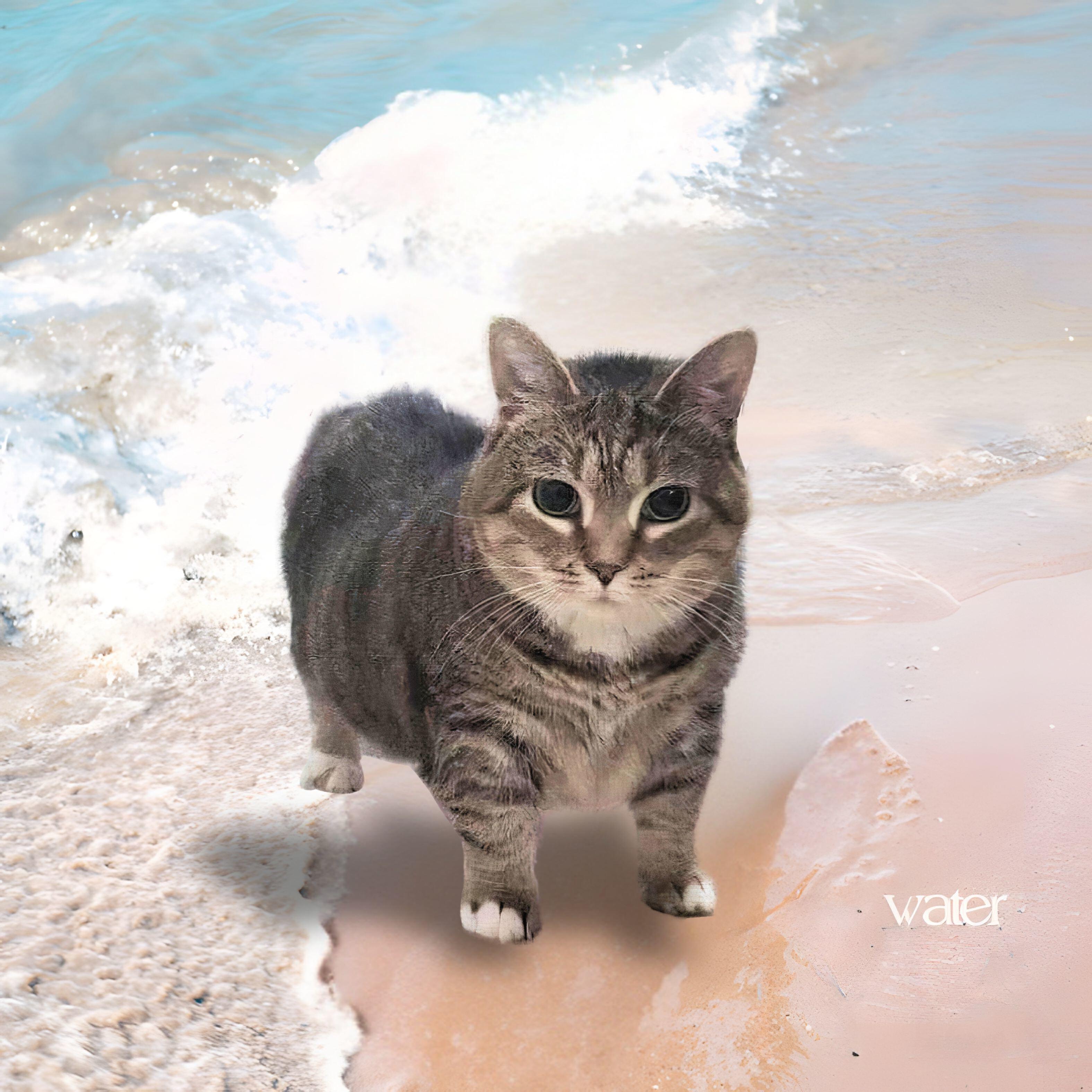Релиз Water Uia