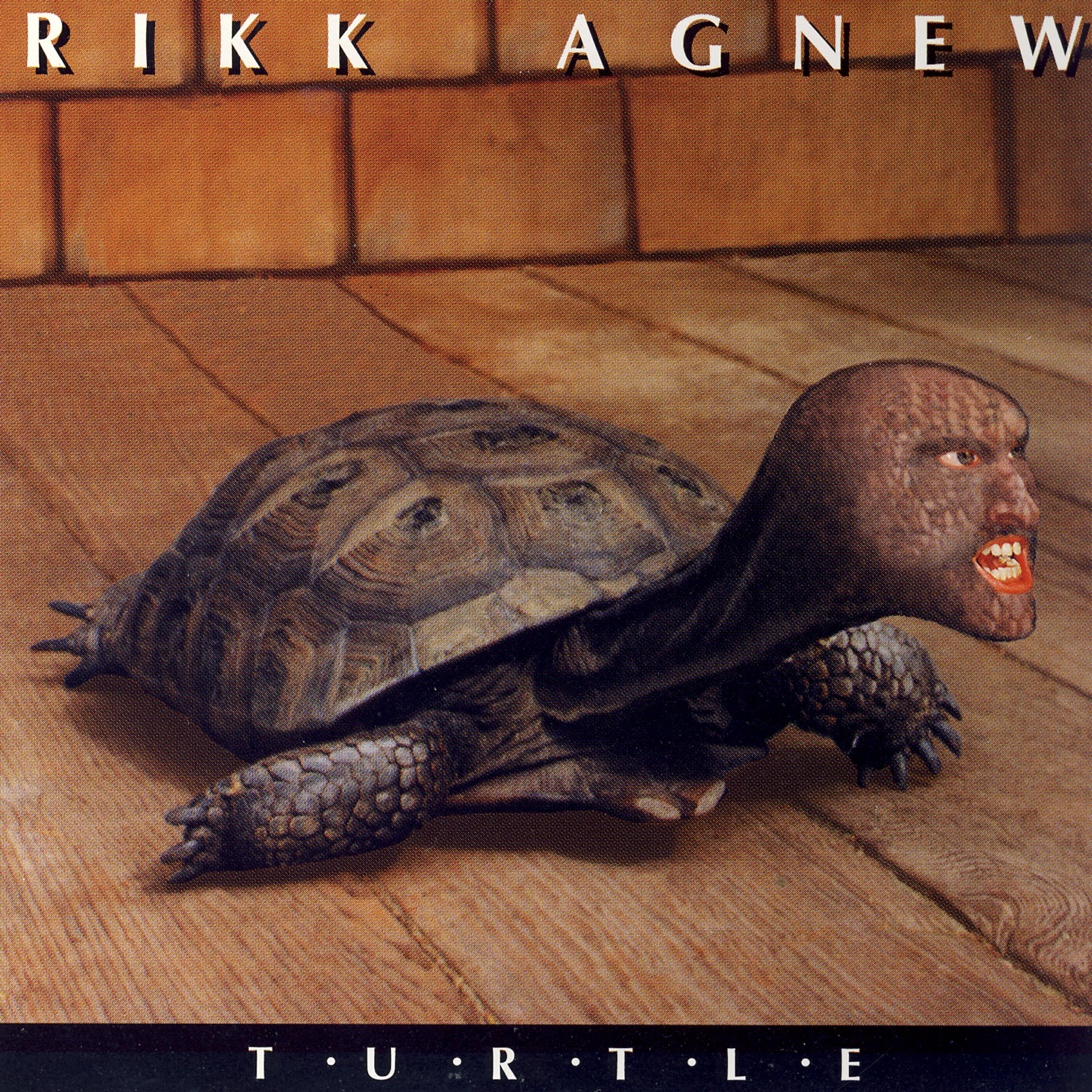 Релиз Turtle