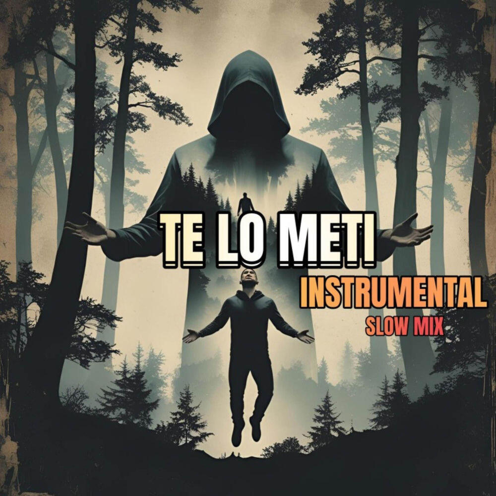 Релиз Te Lo Meti (Slow Mix Instrumental)