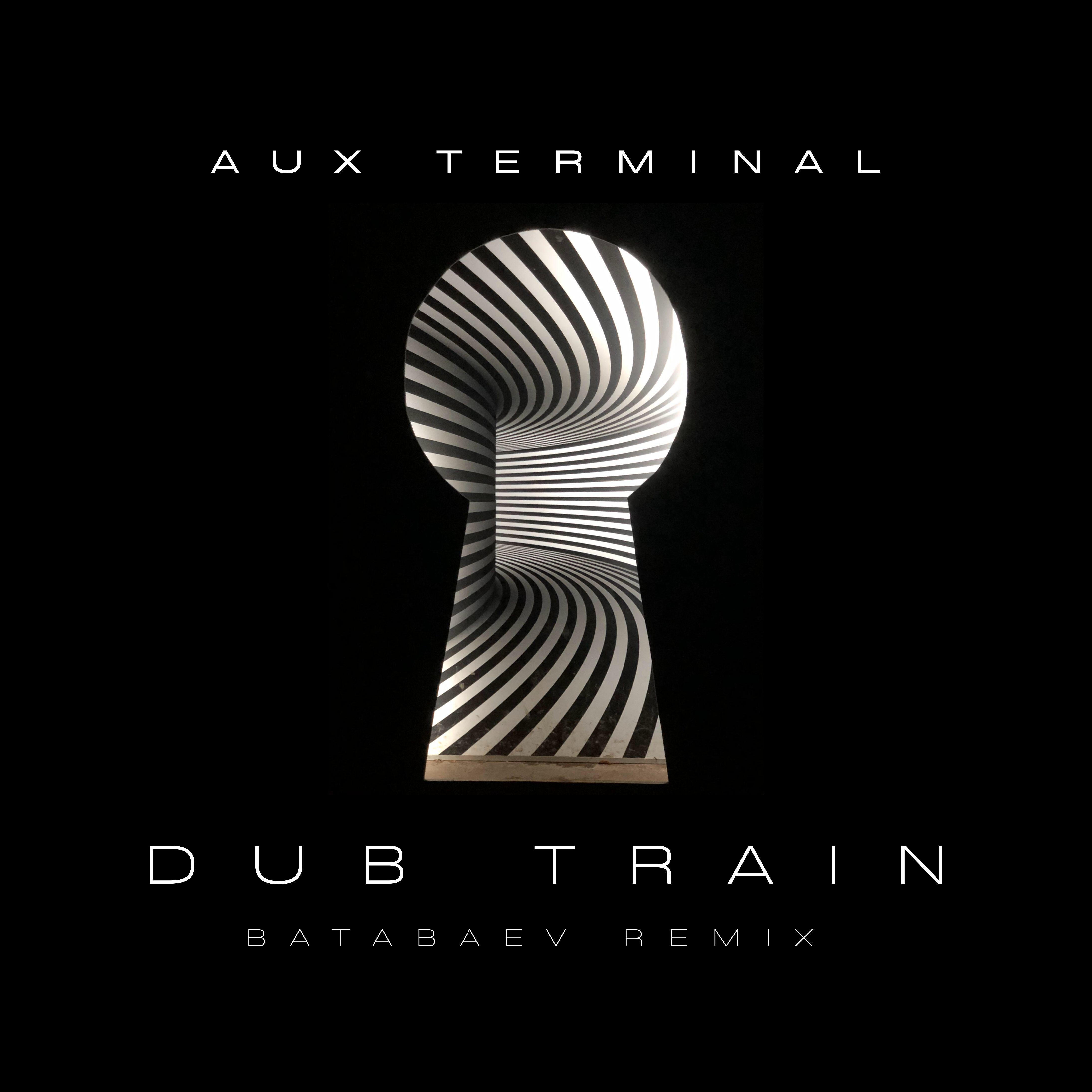 Релиз Dub Train