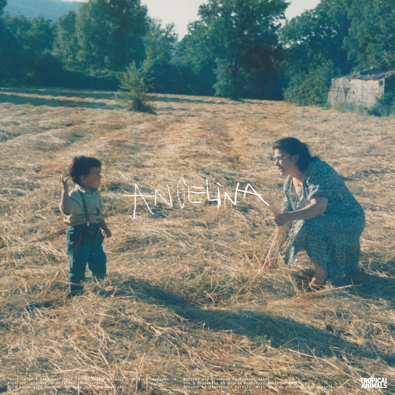 Релиз Angelina