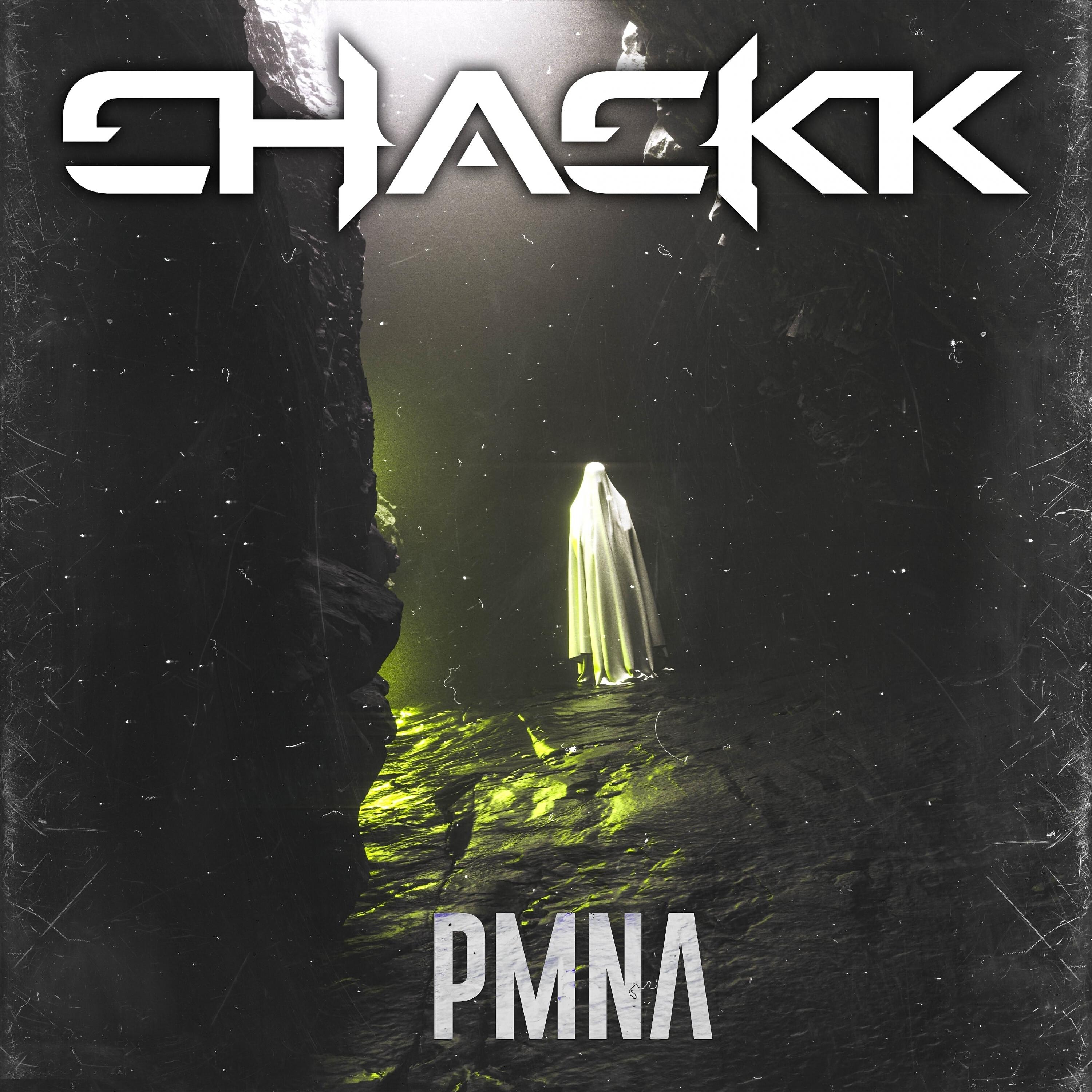 Релиз P.M.N.A.