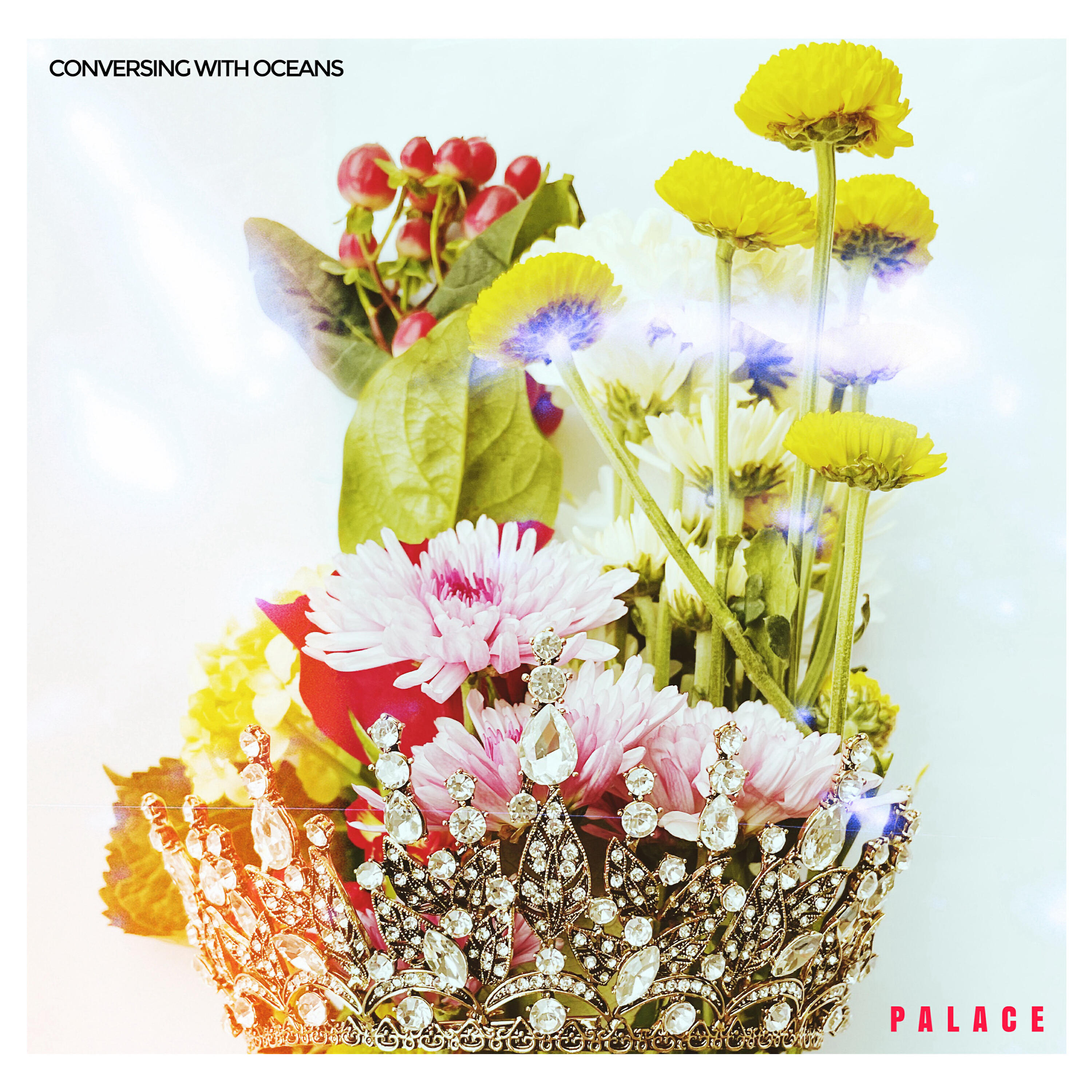 Релиз Palace