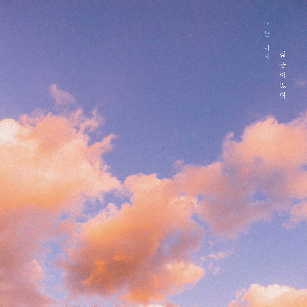 Релиз You were my youth
