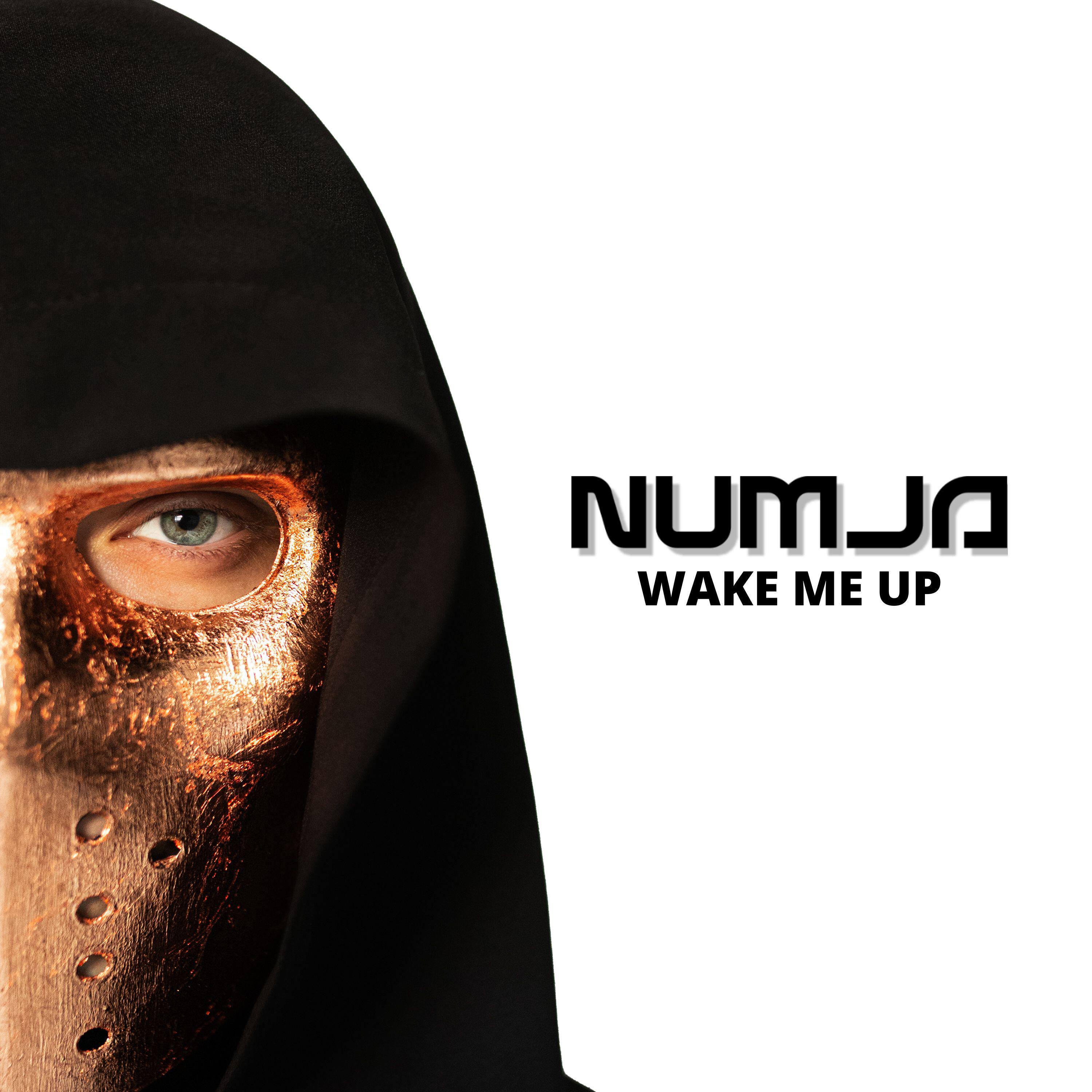 Релиз Wake Me Up