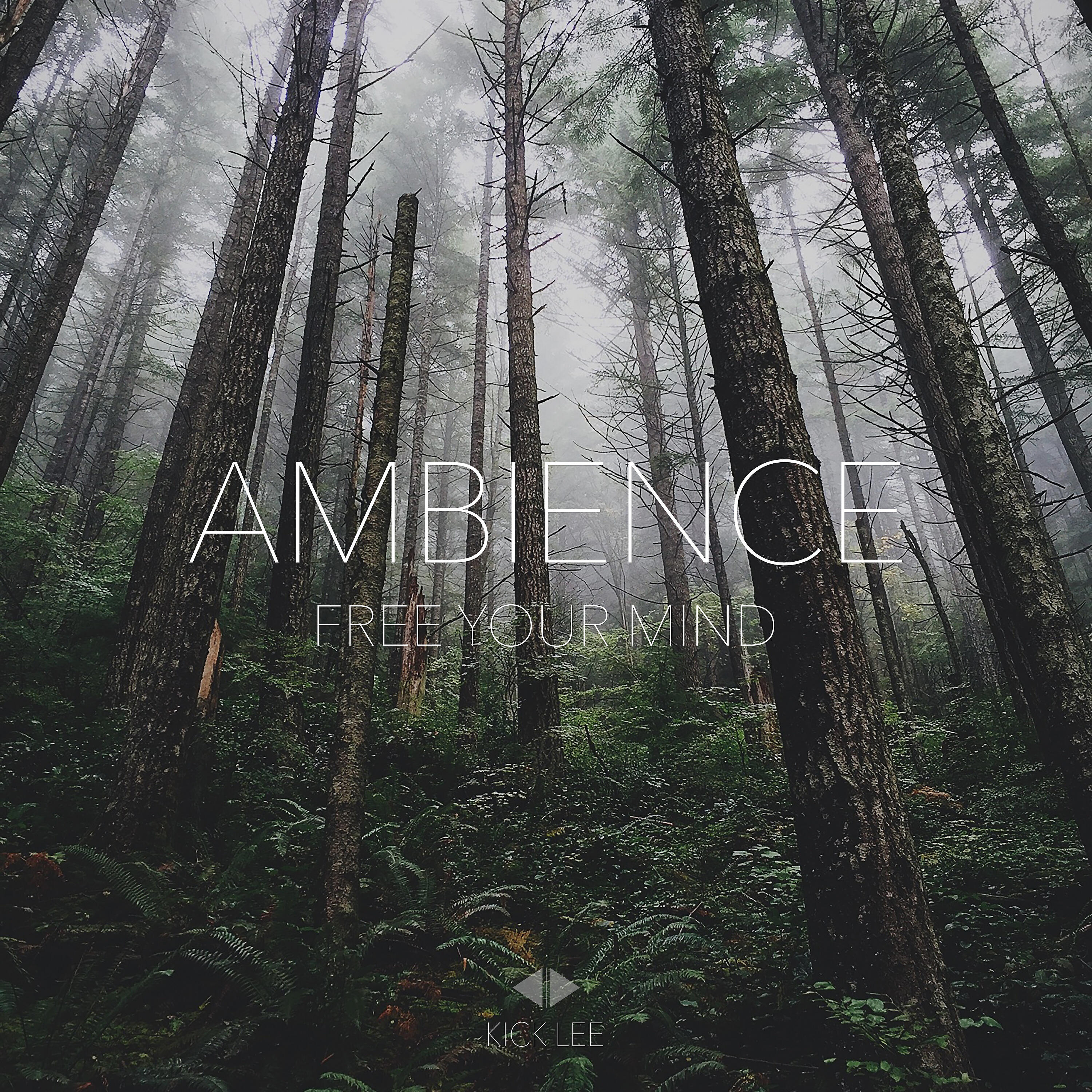Релиз Ambience