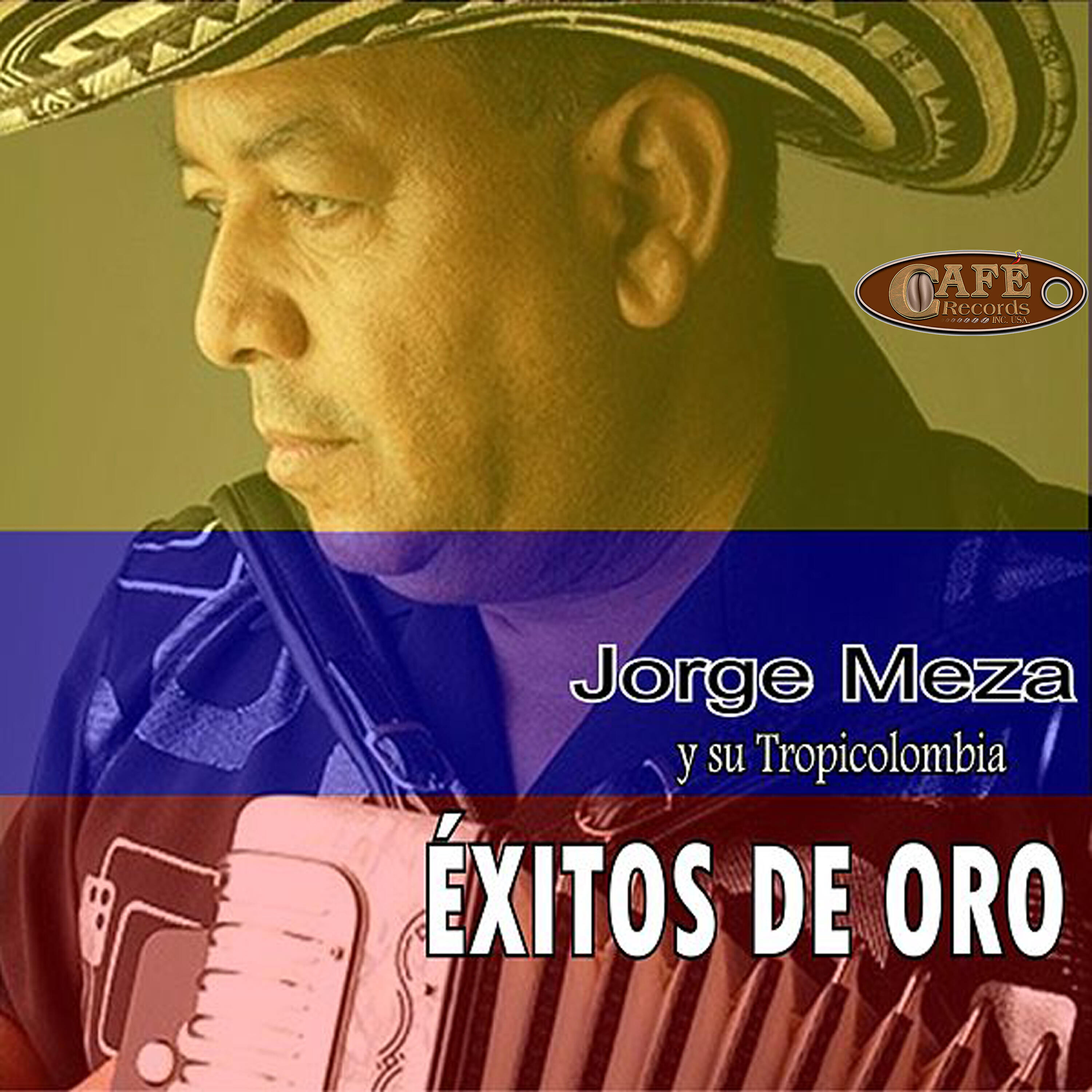 Релиз Éxitos de Oro