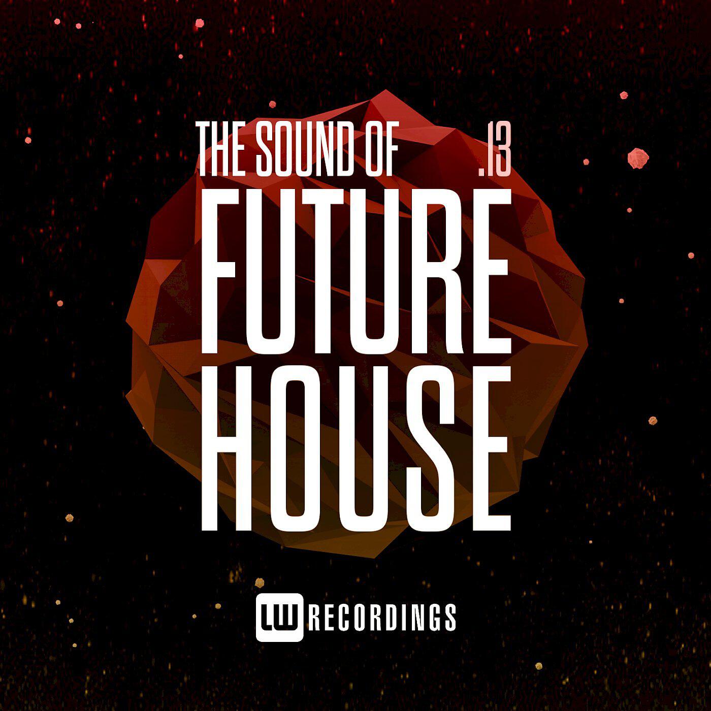 Релиз The Sound Of Future House, Vol. 13