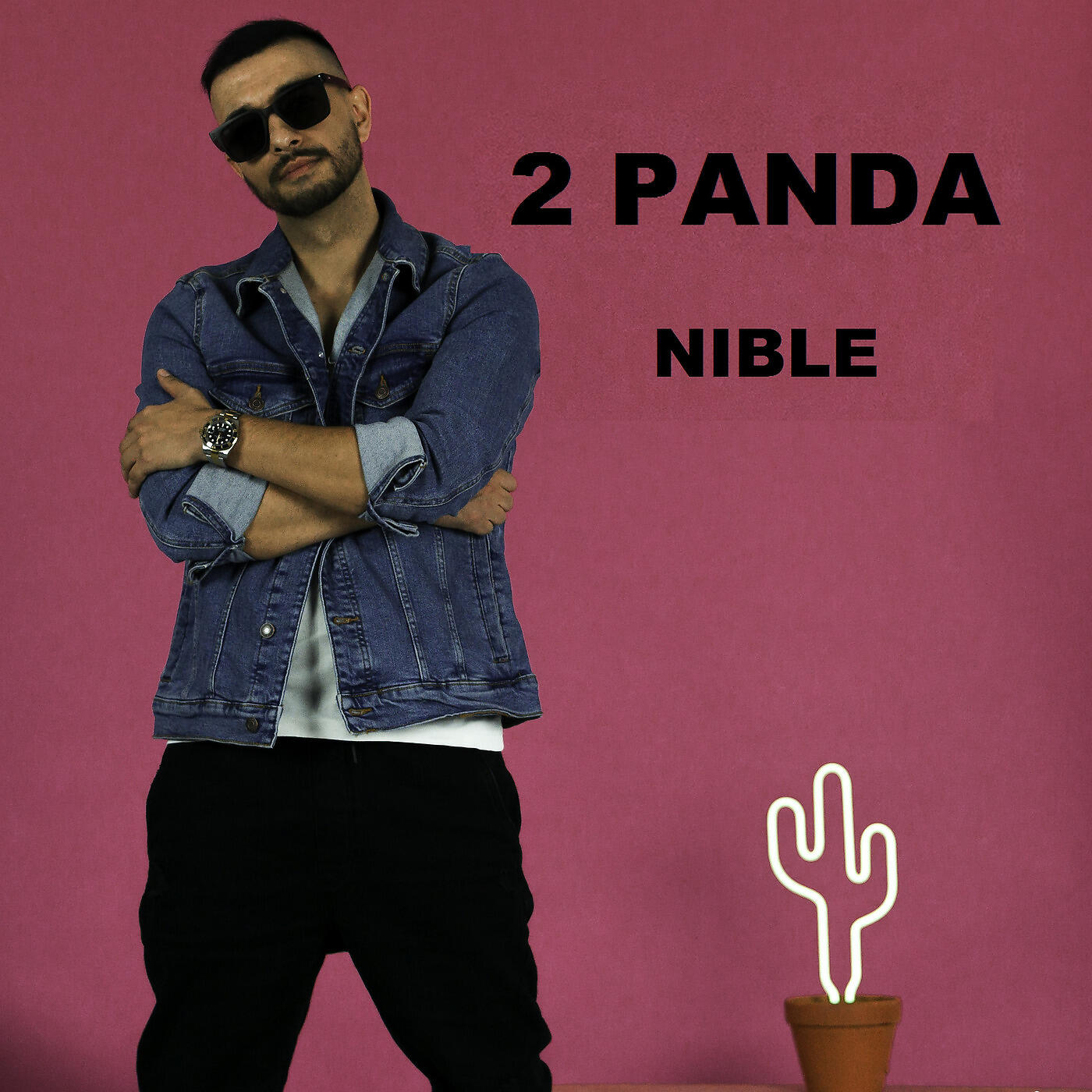 Релиз 2 Panda