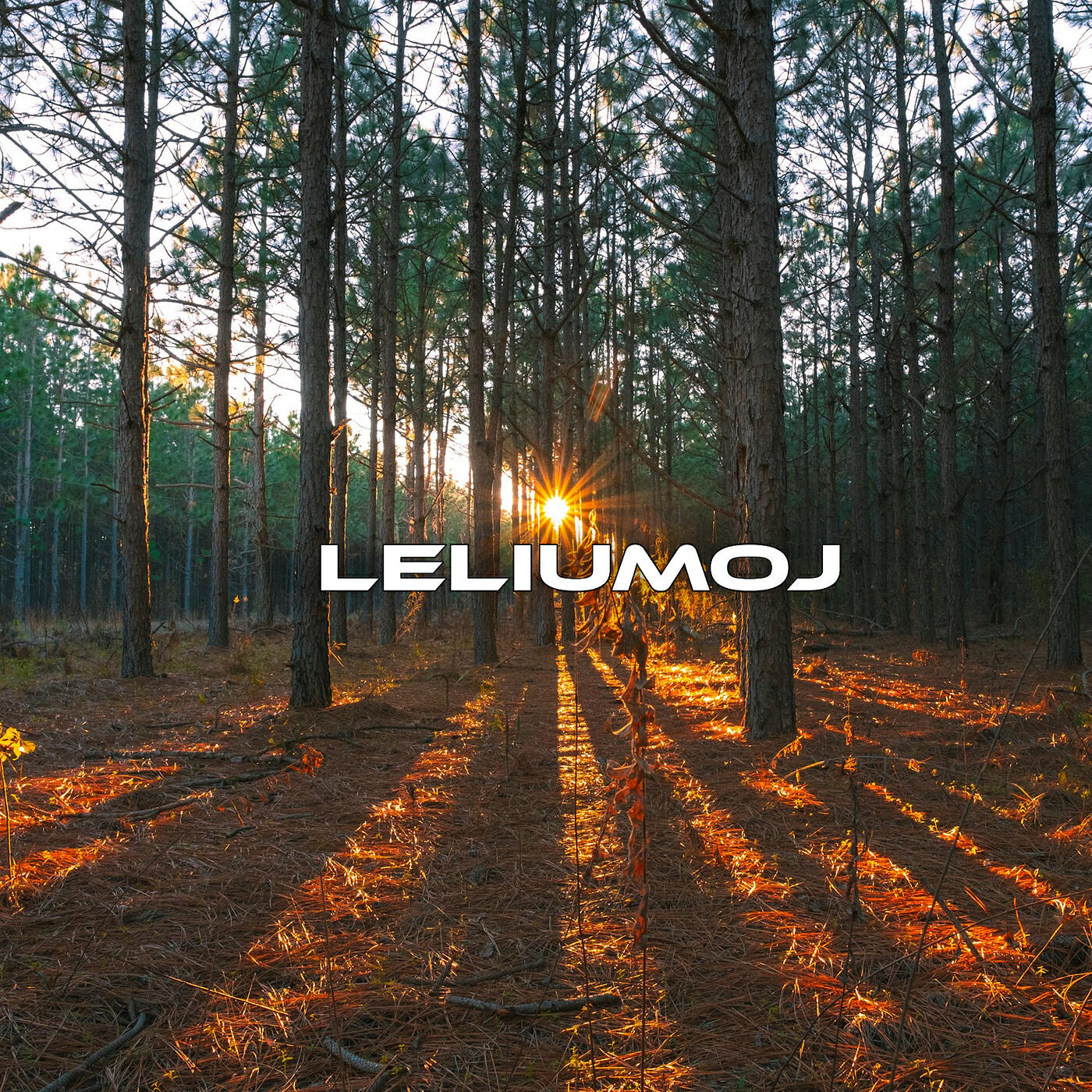 Релиз Leliumoj
