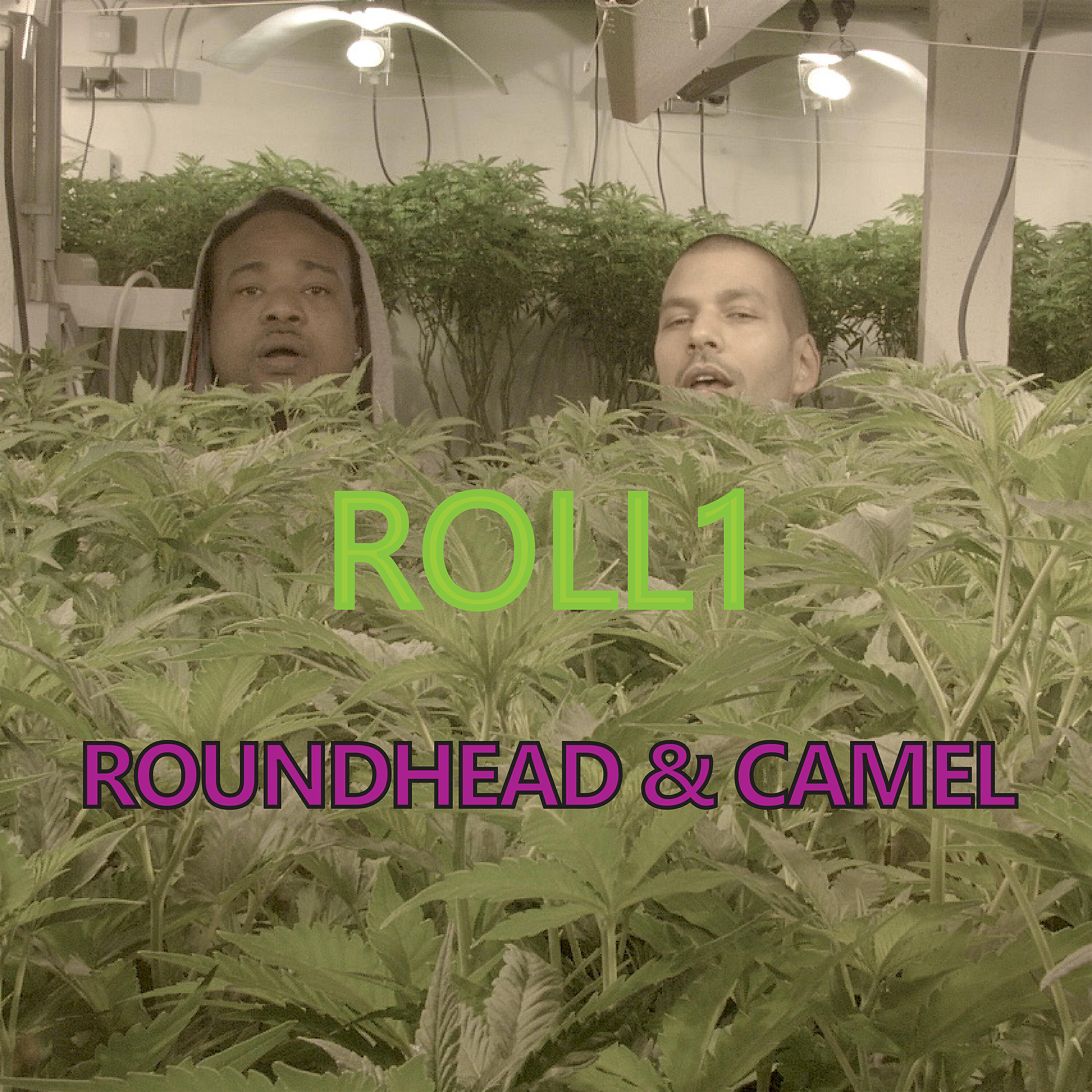 Скачать песню Roundhead, Camel - Roll1 бесплатно в MP3 для Android и iOS