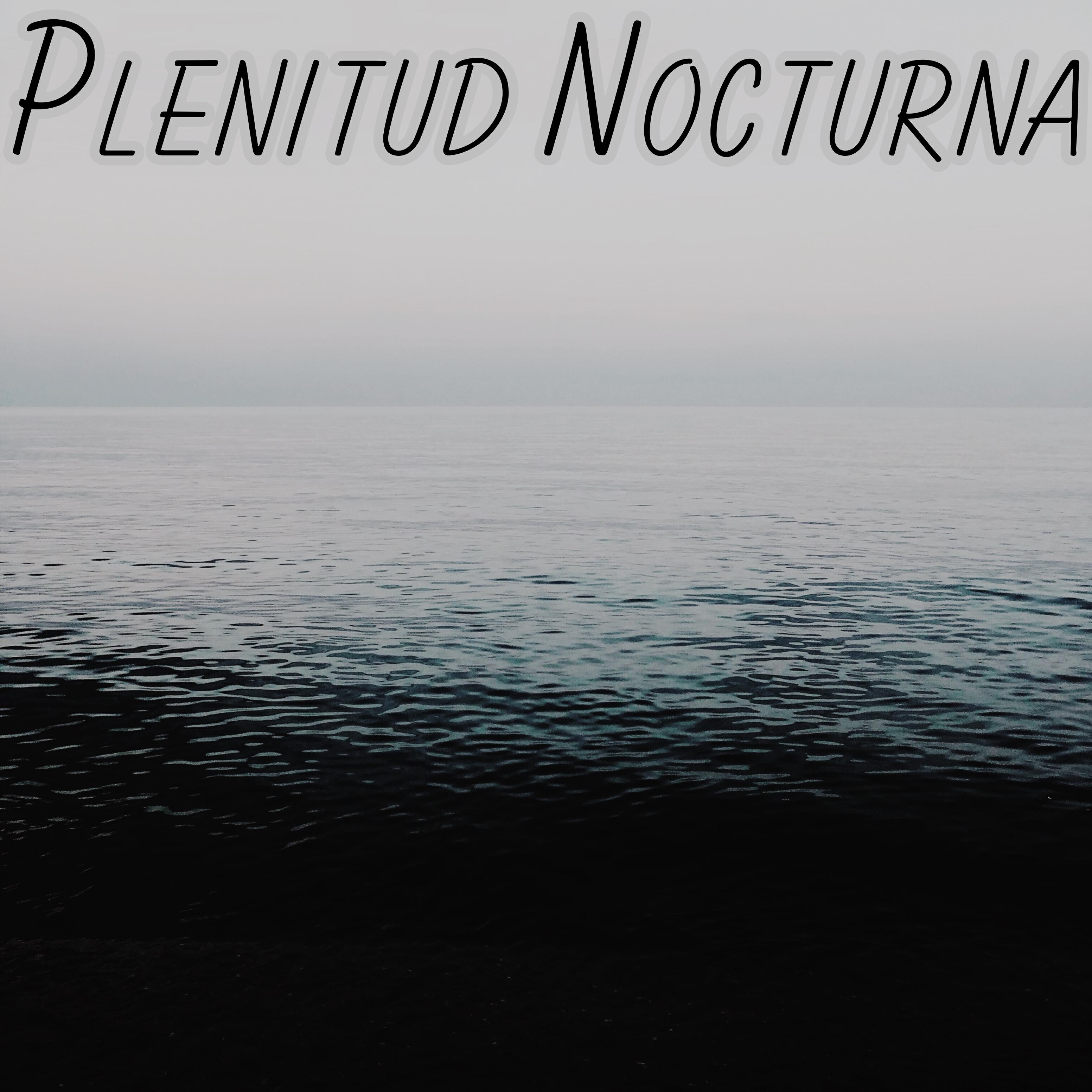 Релиз Plenitud Nocturna