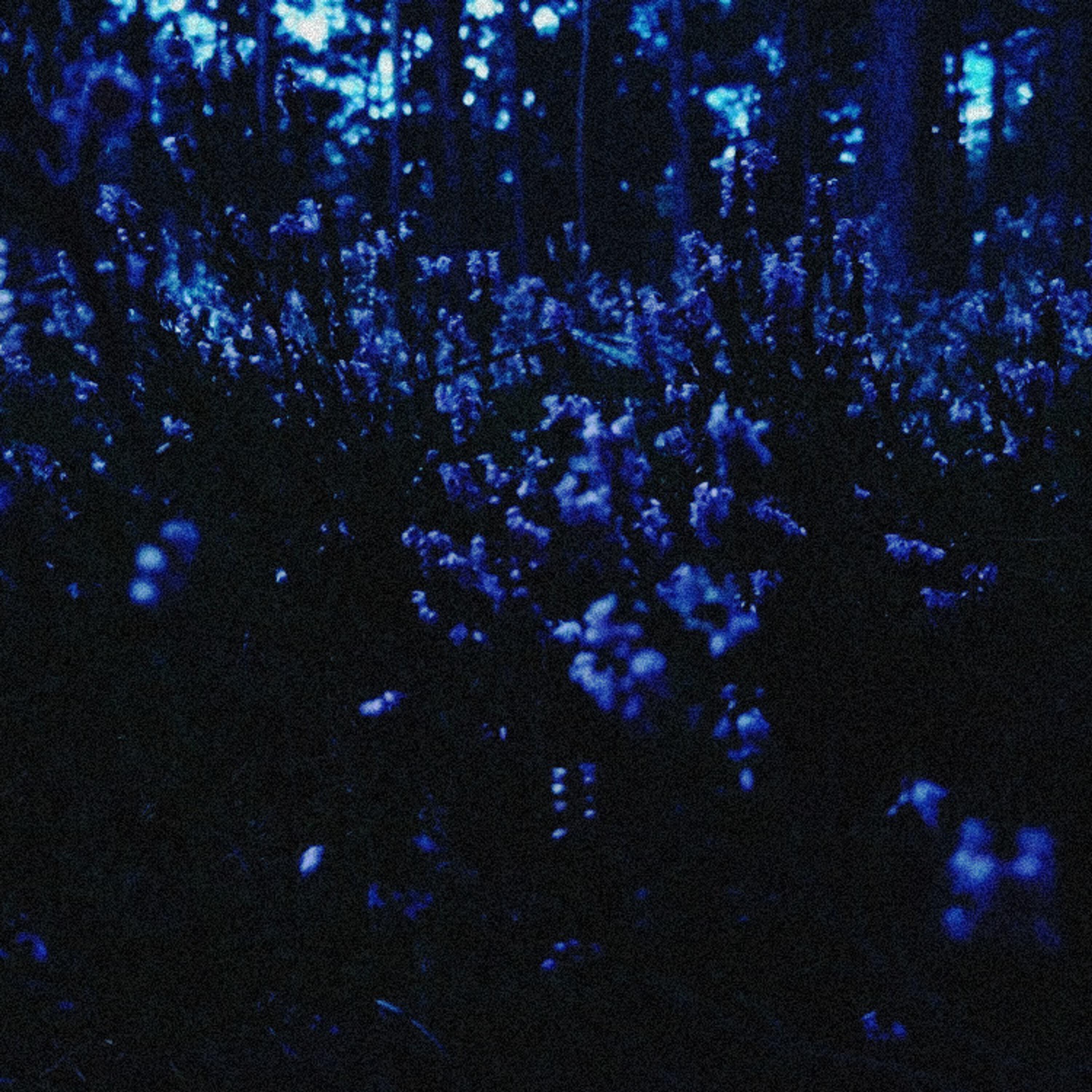 Релиз silence by the river