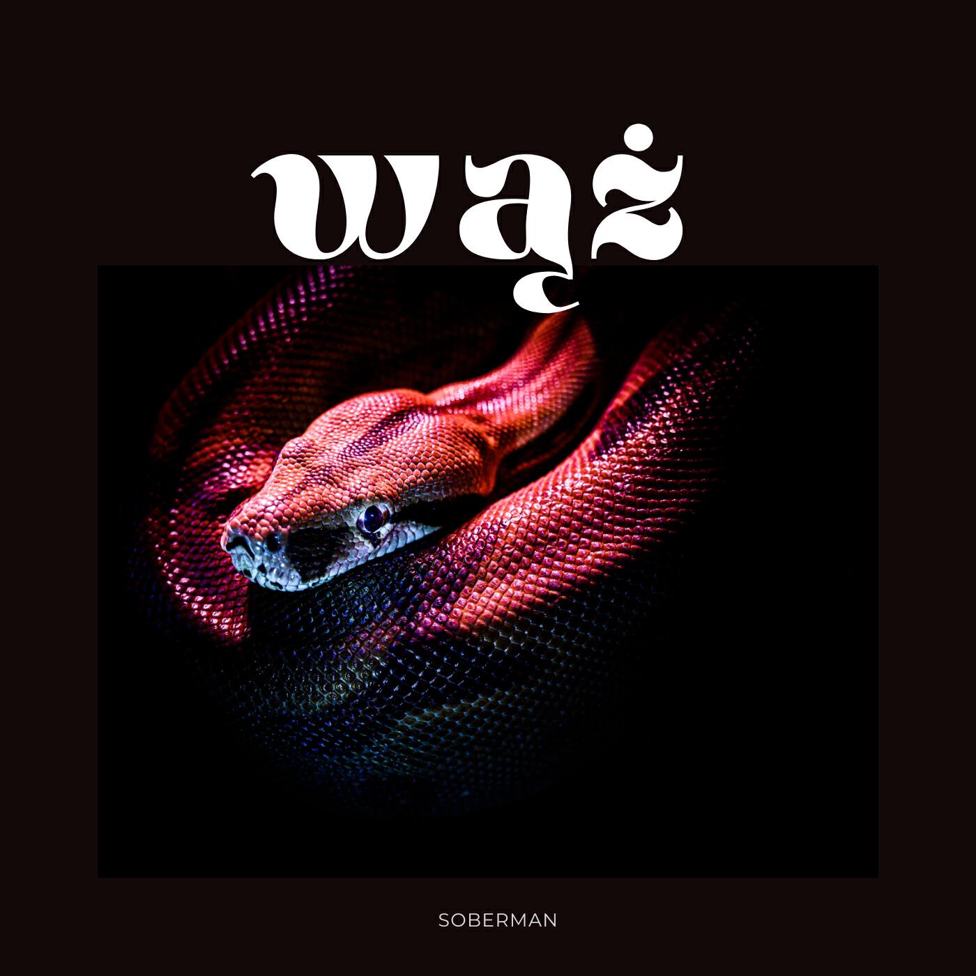 Релиз WĄŻ