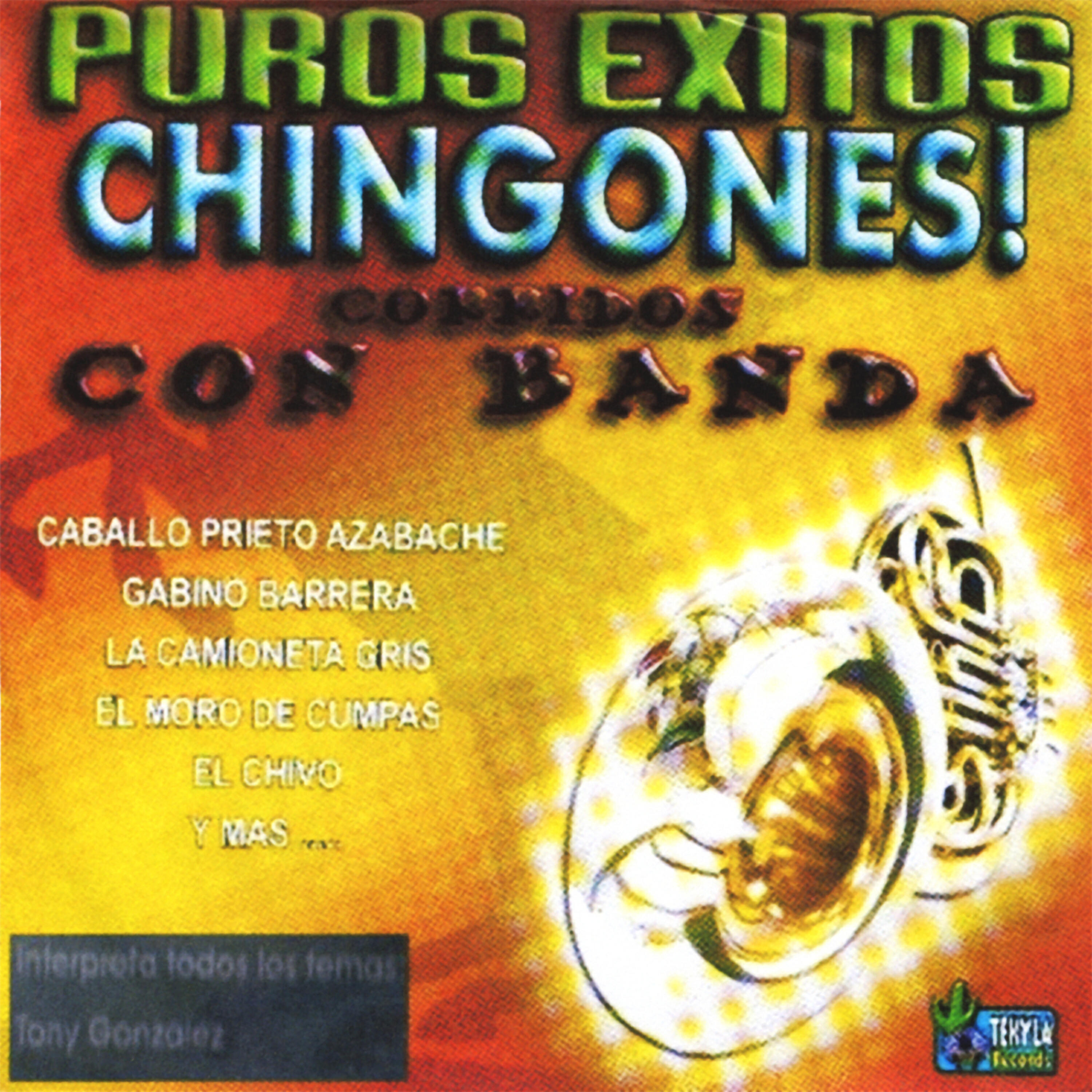 Puros Exitos Chingones!