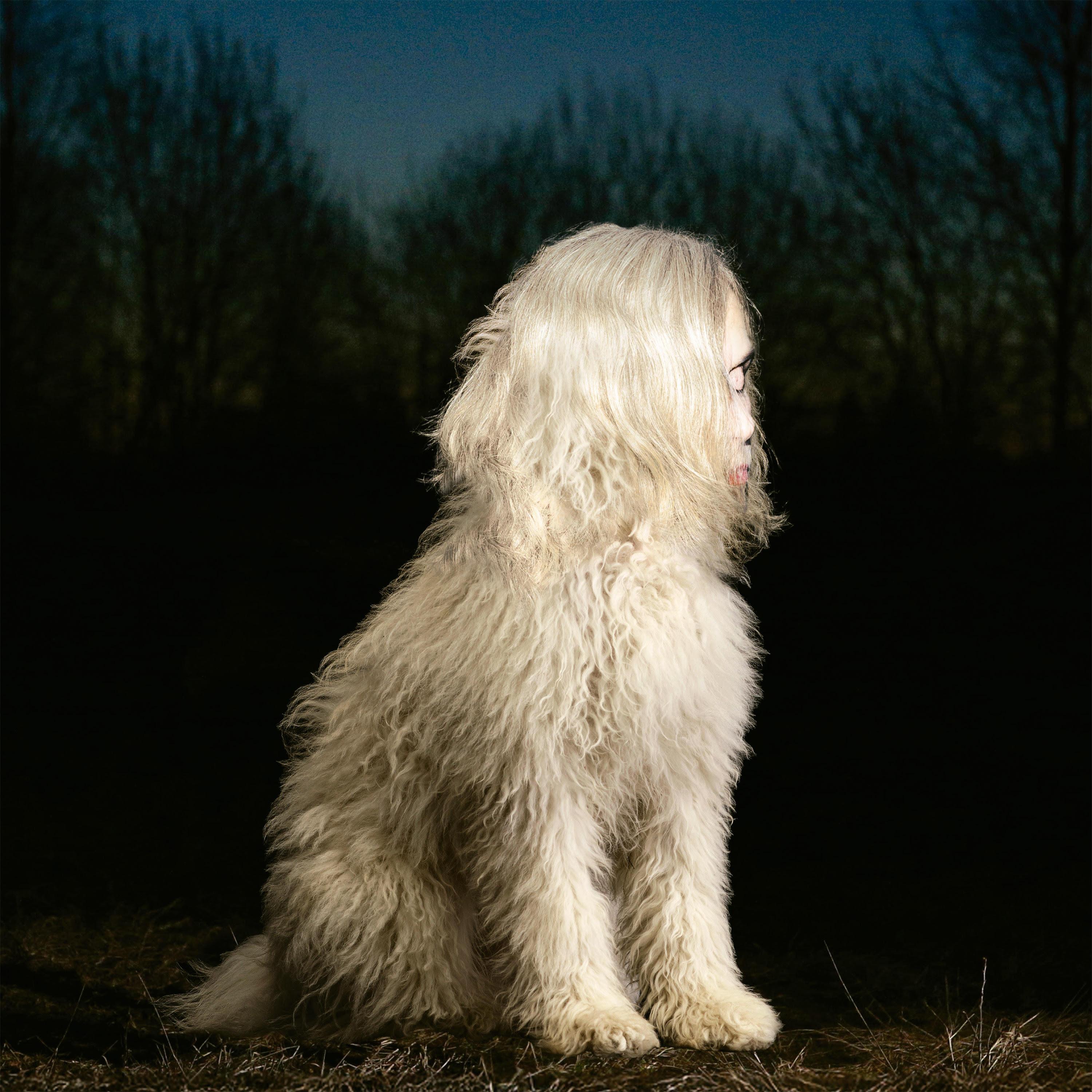 Релиз DOGA