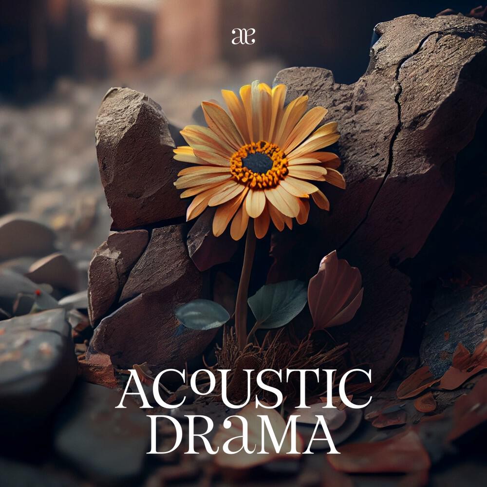 Релиз Acoustic Drama