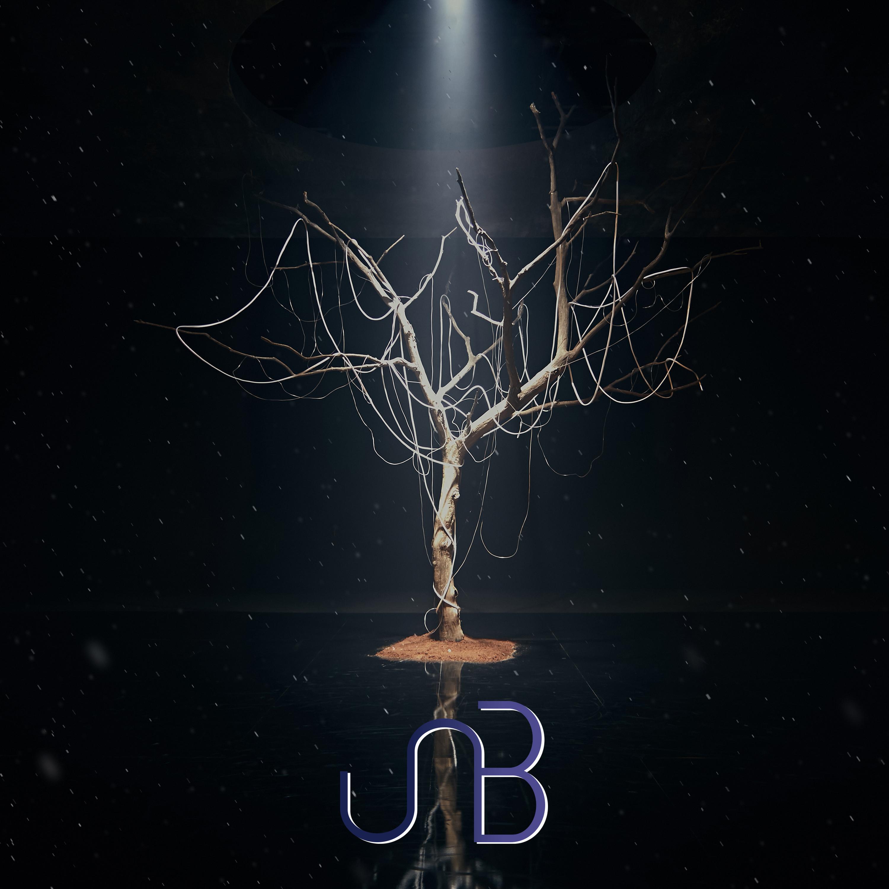 Релиз BOYHOOD
