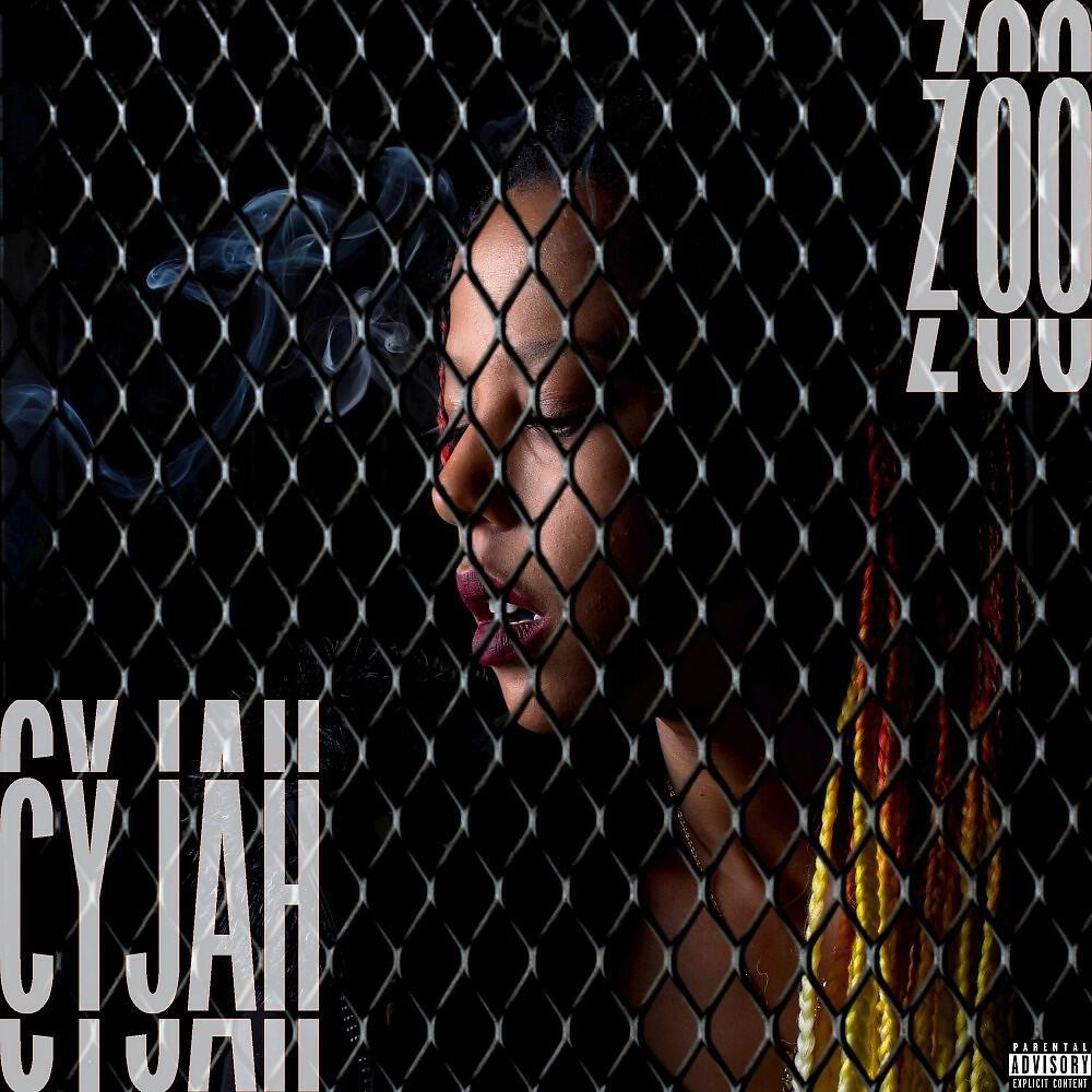 Релиз Zoo