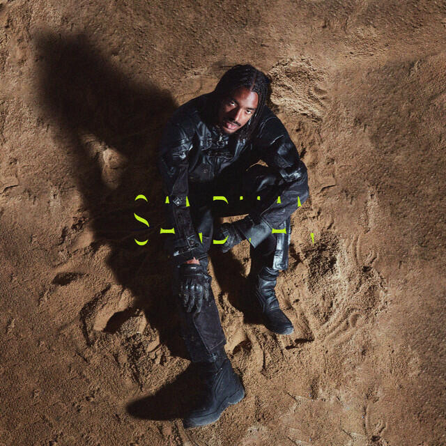 Релиз Sandman