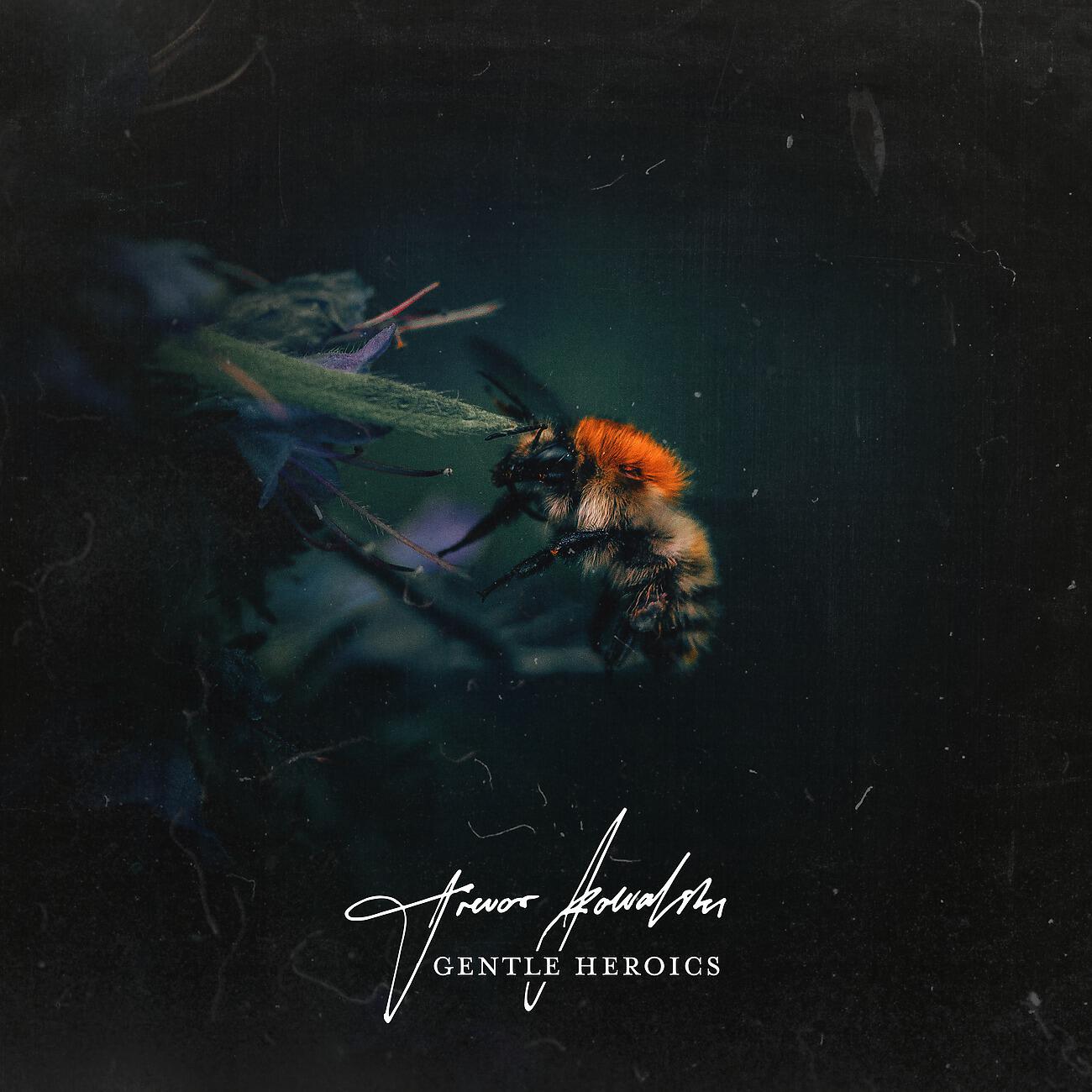Релиз Gentle Heroics