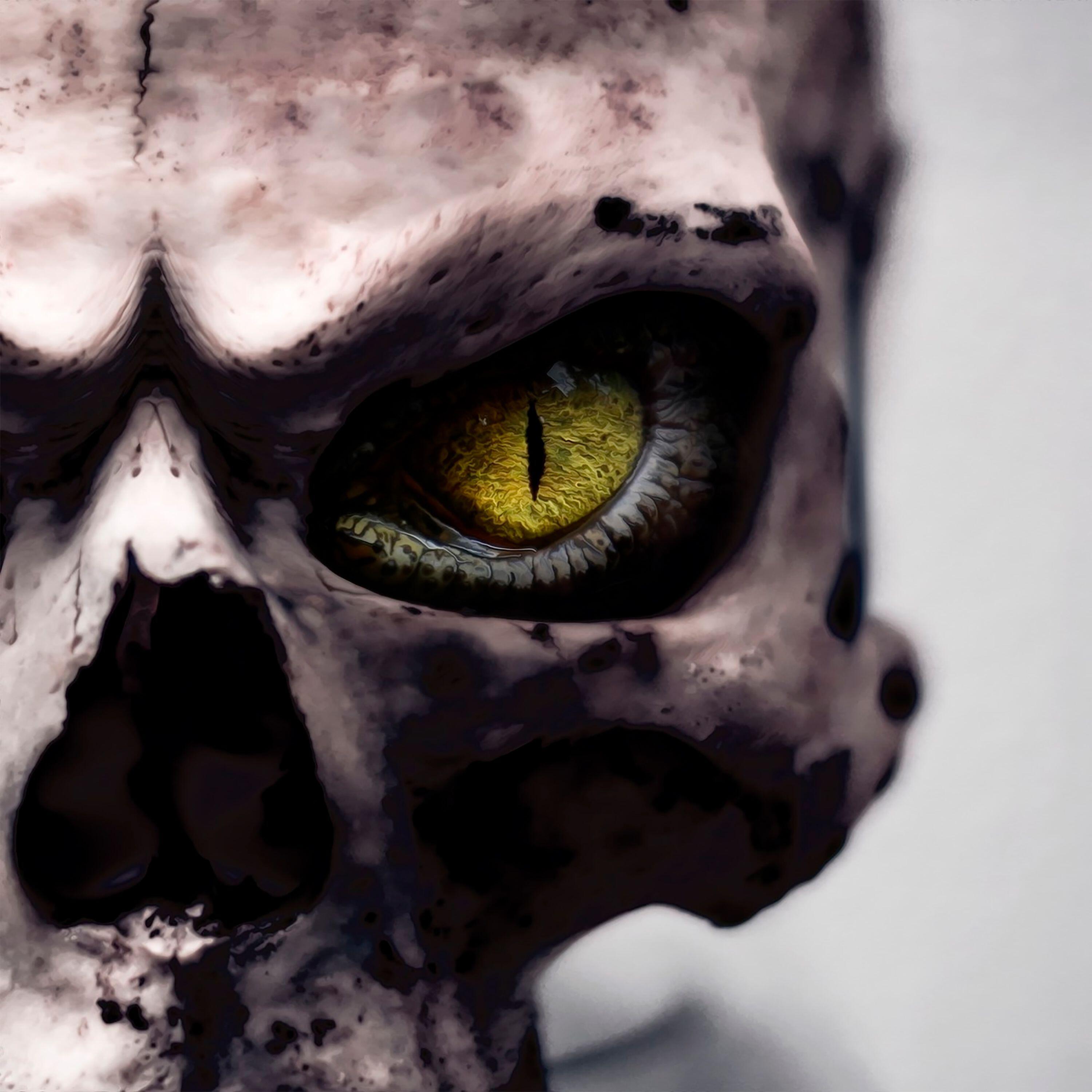 Релиз Animated Death